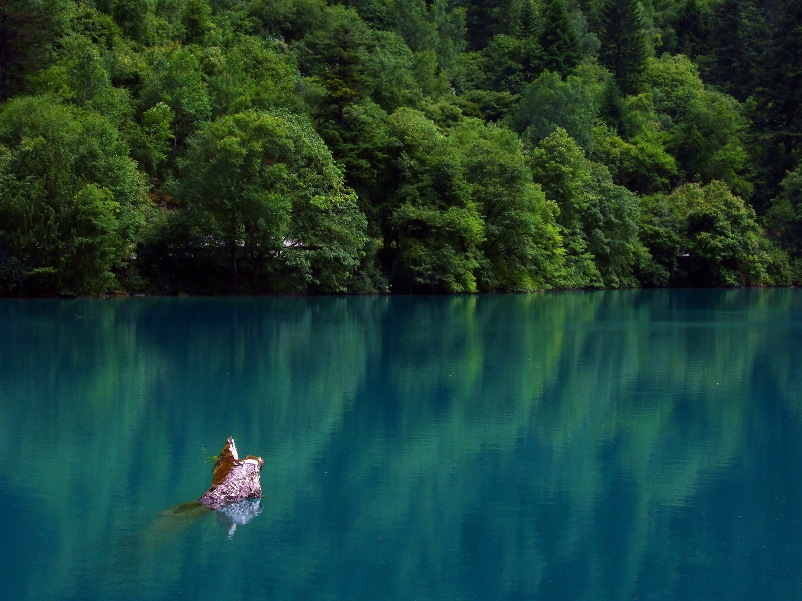 阿壩采風(一) (蟲天天作品) #30 - 1600x1200