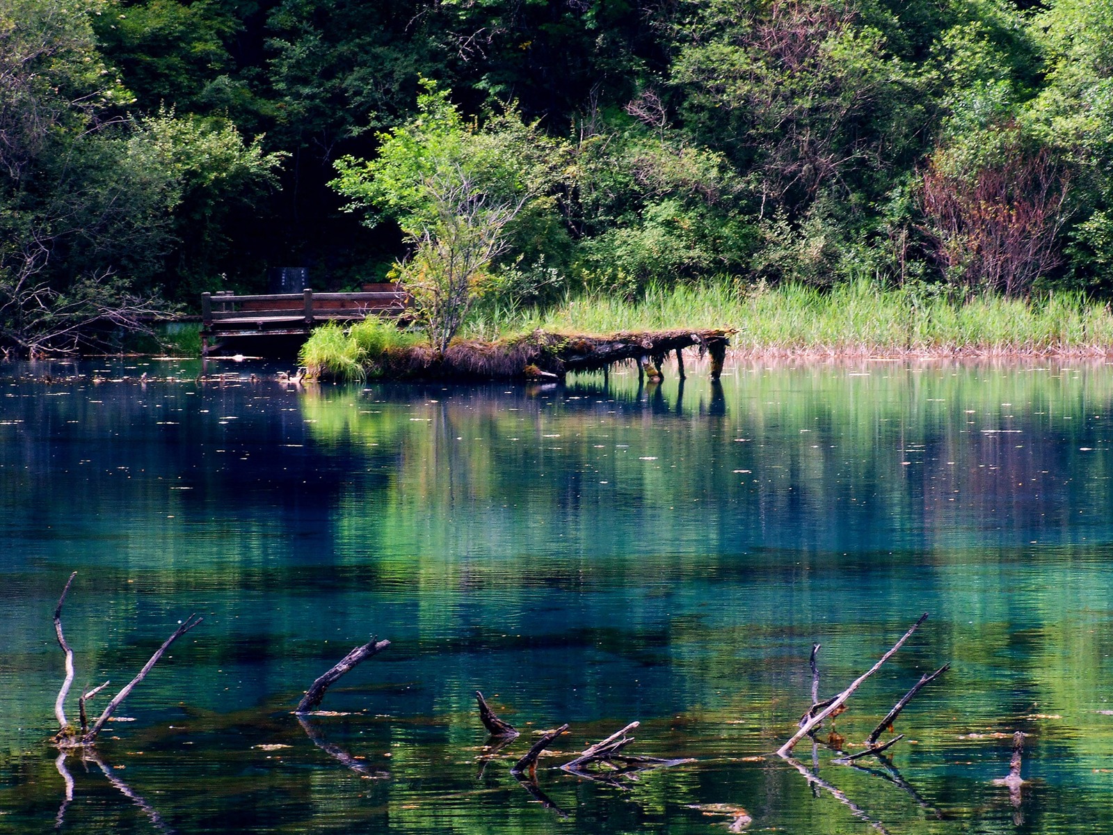 Aba sběru lidových písní (2) (červi každý den práce) #11 - 1600x1200