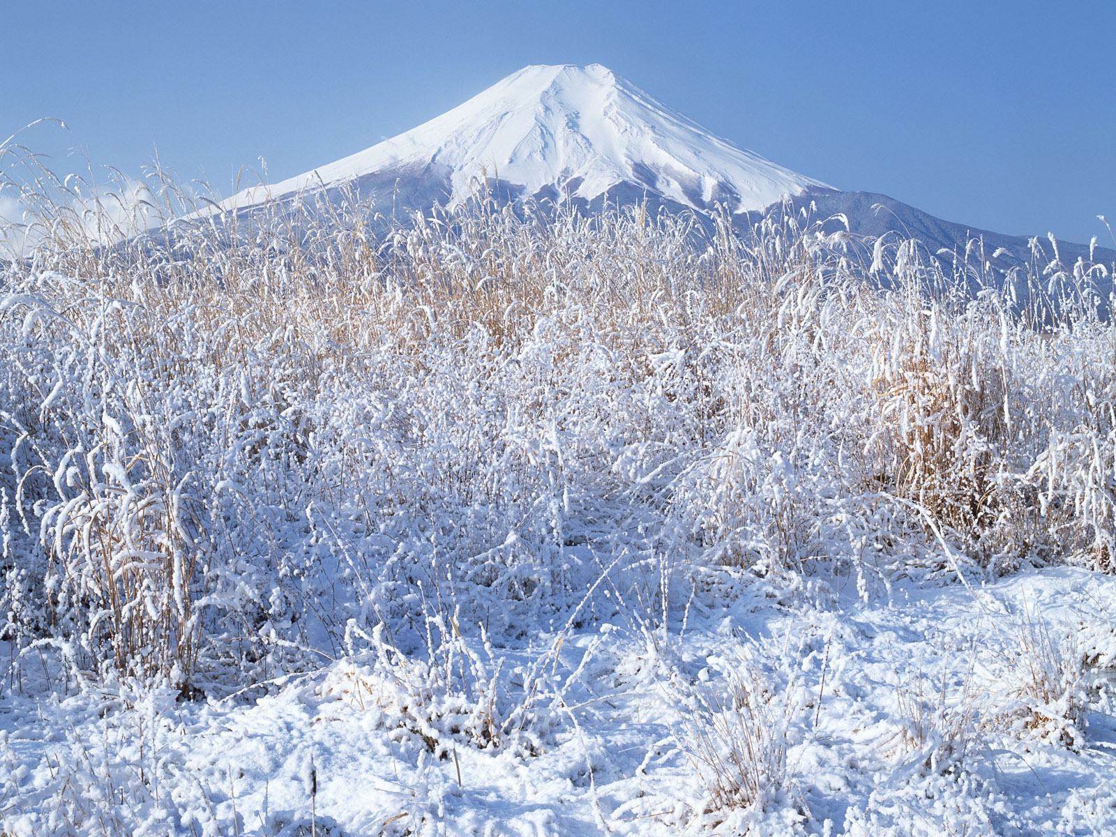 富士山風光壁紙專輯 #22 - 1600x1200
