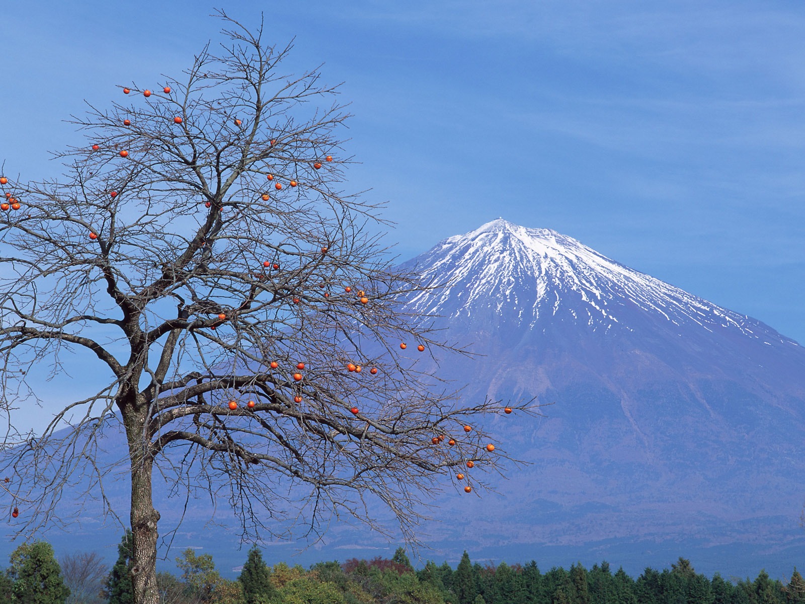 富士山风光壁纸专辑26 - 1600x1200