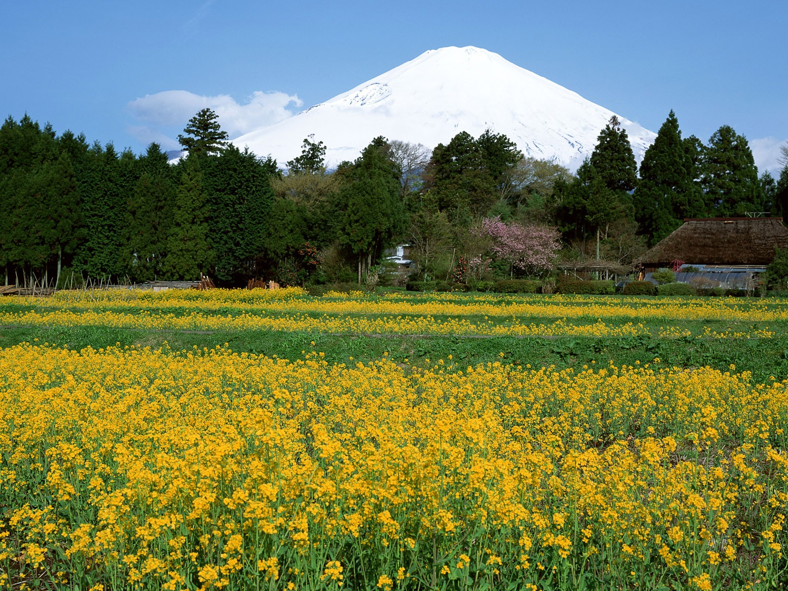 富士山風光壁紙專輯 #36 - 1600x1200