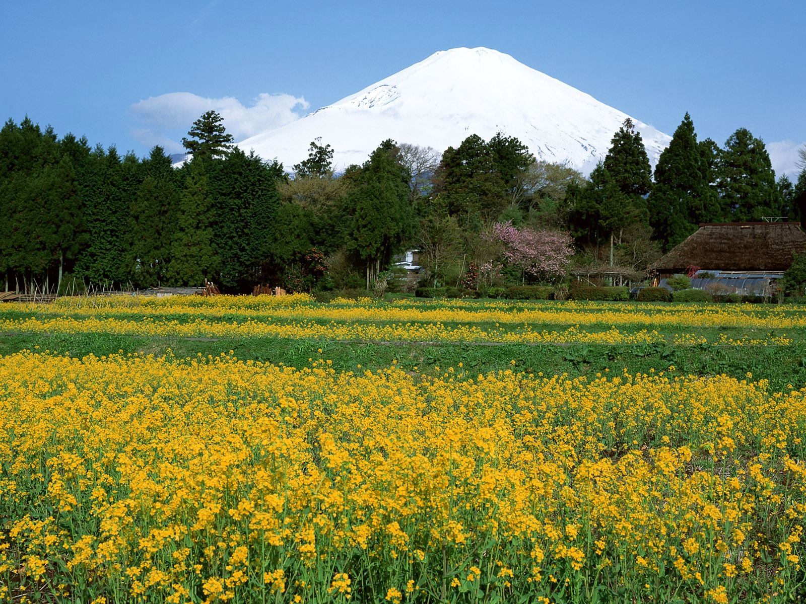 富士山风光壁纸专辑36 - 1600x1200