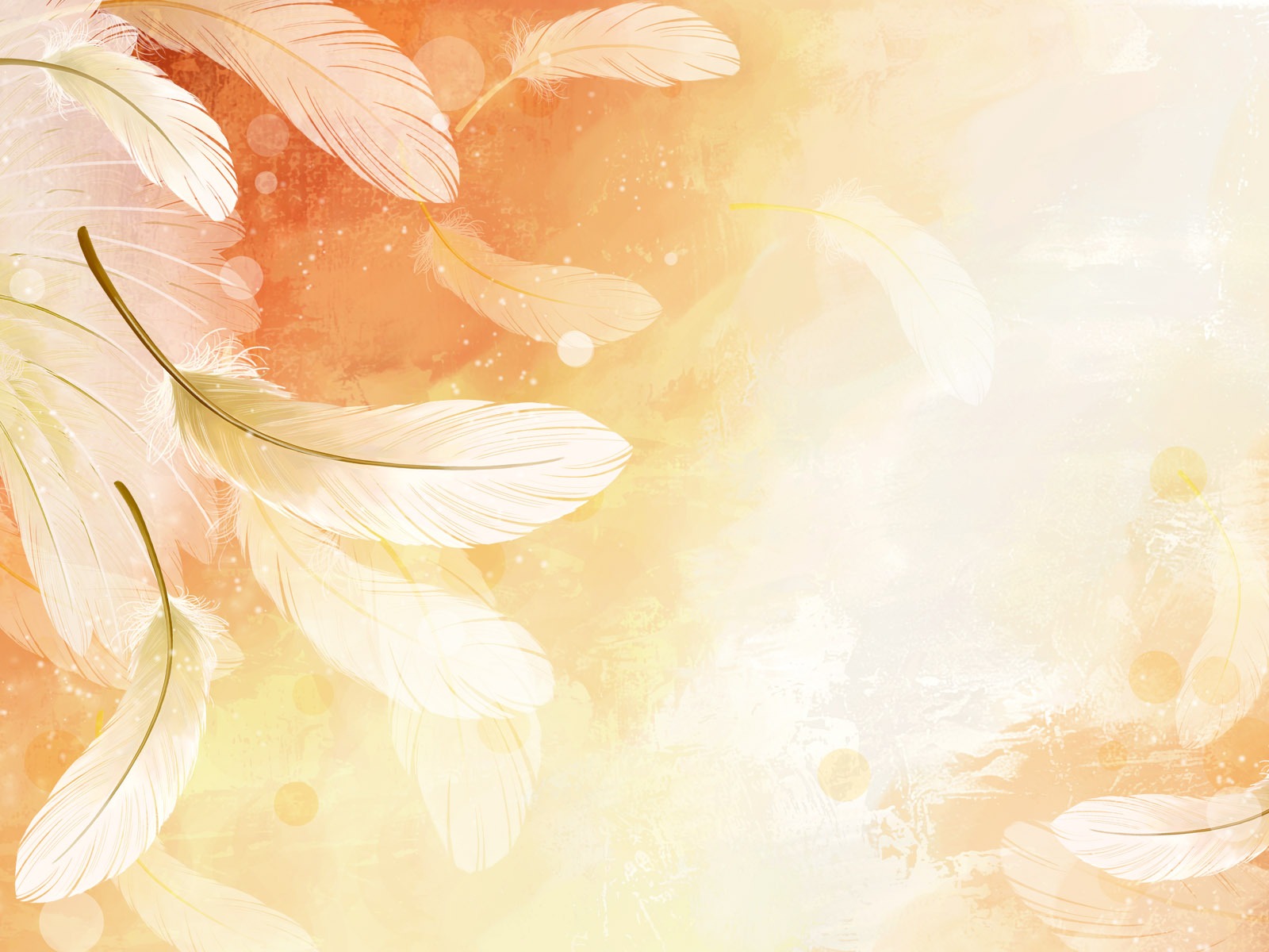 炫彩花卉合成壁紙 #4 - 1600x1200