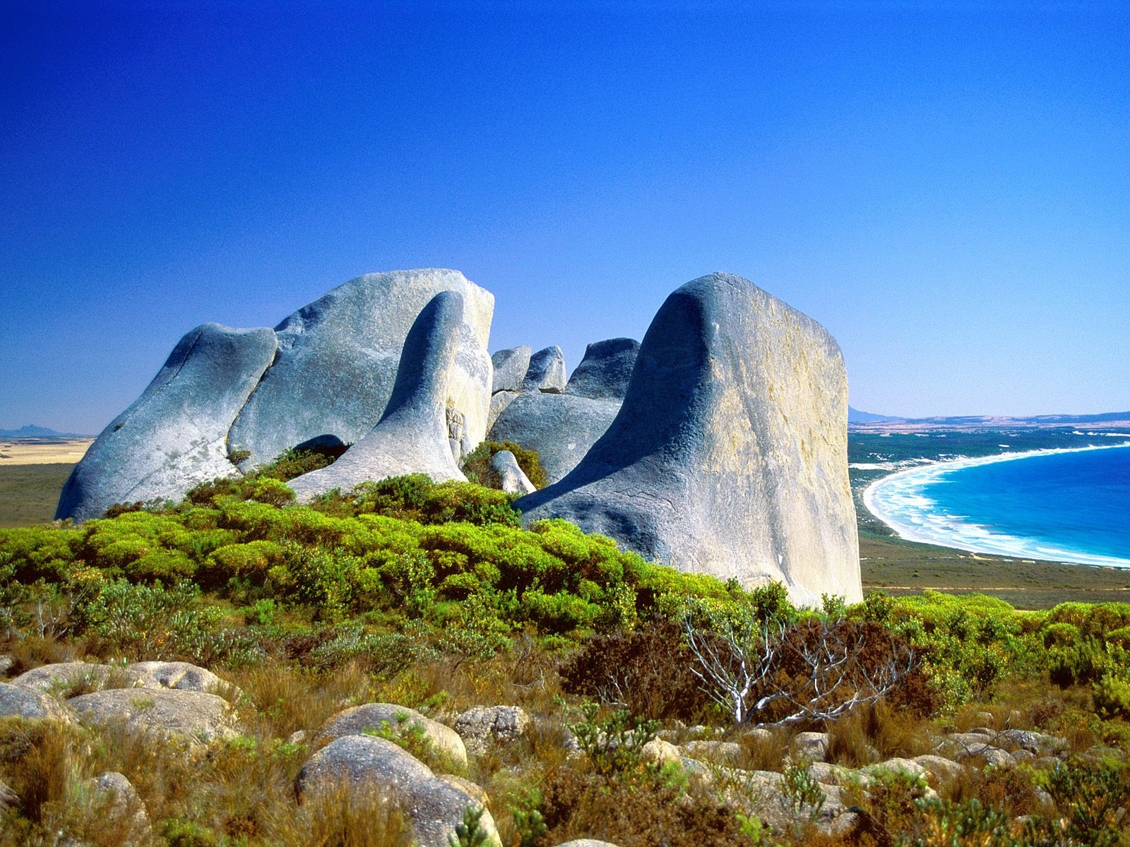 澳大利亚特色美丽风景30 - 1600x1200
