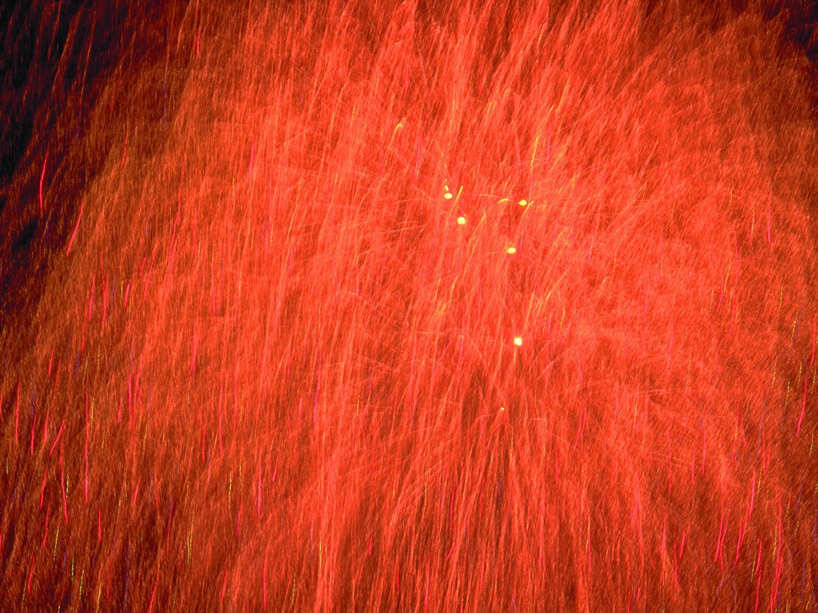 Festival fireworks display wallpaper #16 - 1600x1200