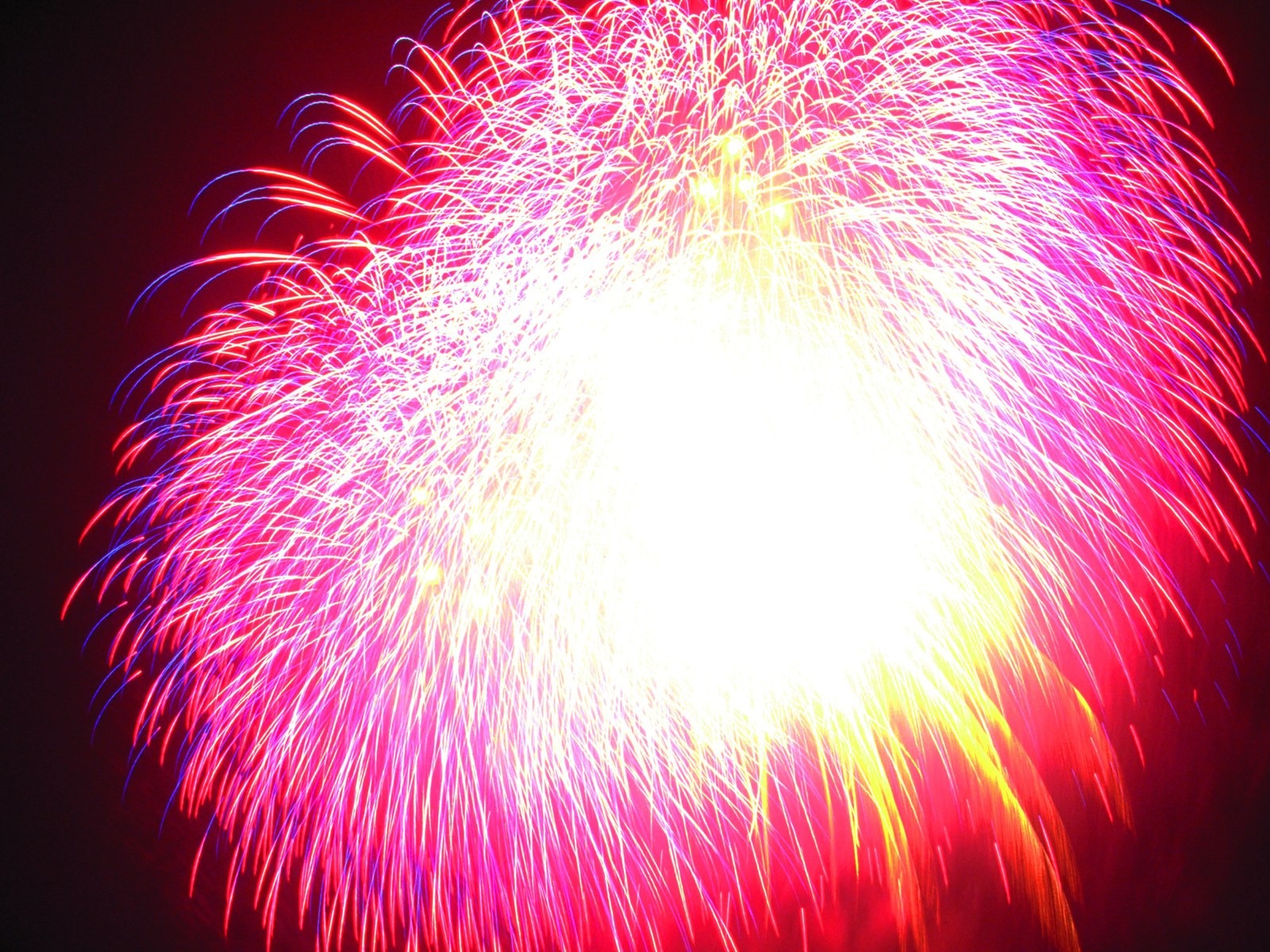 Festival ohňostroj wallpaper #26 - 1600x1200