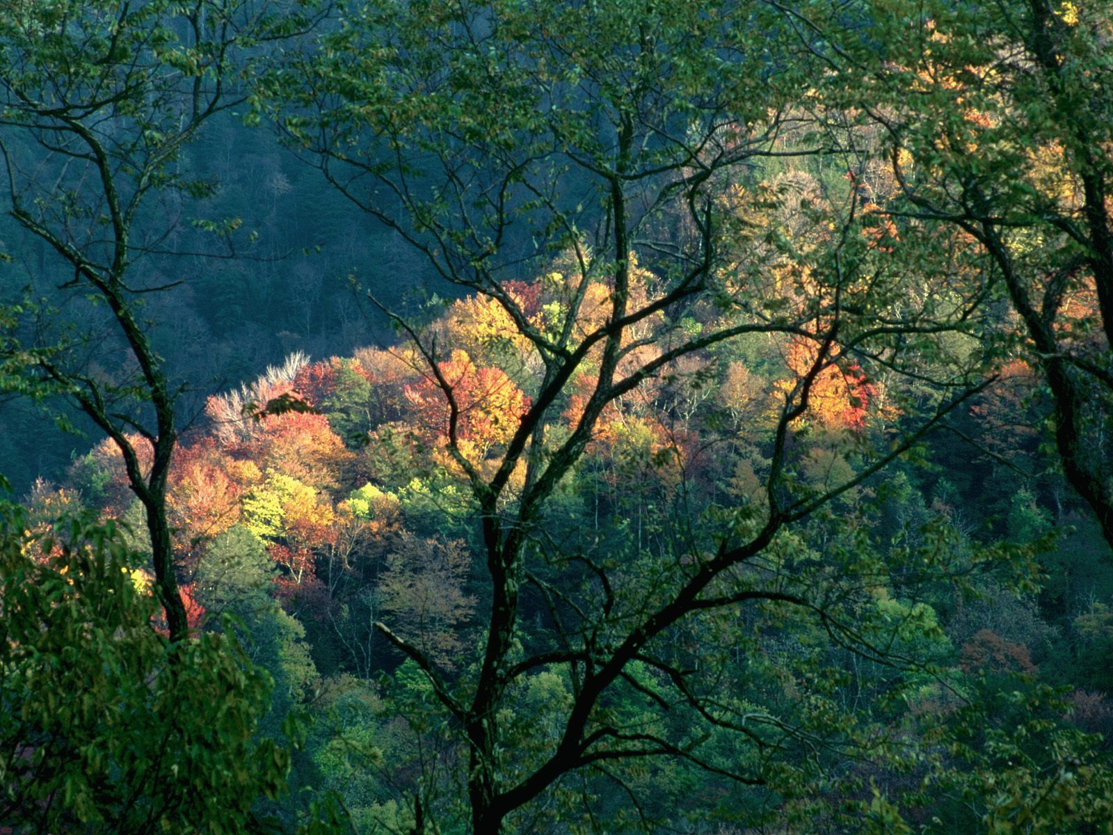 Podzimní krajina krásná tapeta #22 - 1600x1200