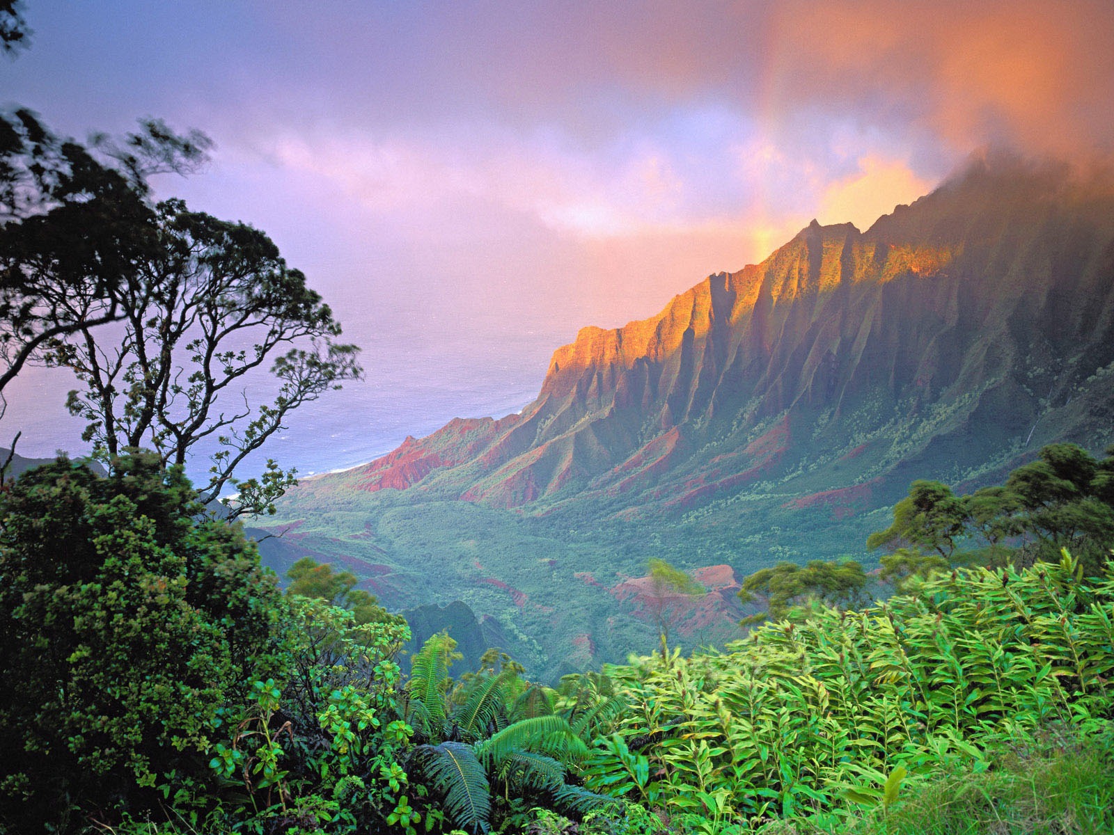 Windows7 官方主題壁紙 #19 - 1600x1200