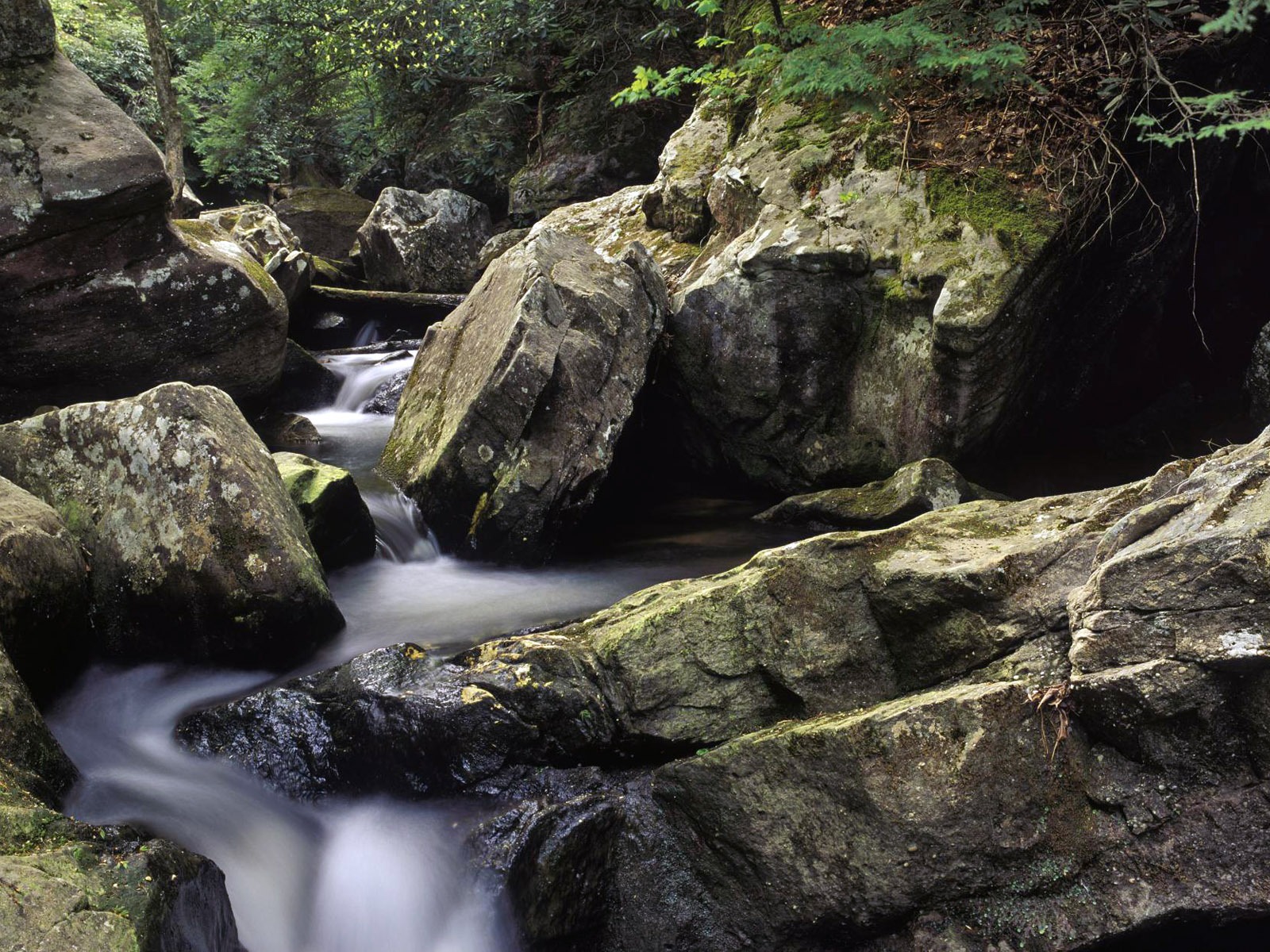 Water streams HD Wallpapers #6 - 1600x1200