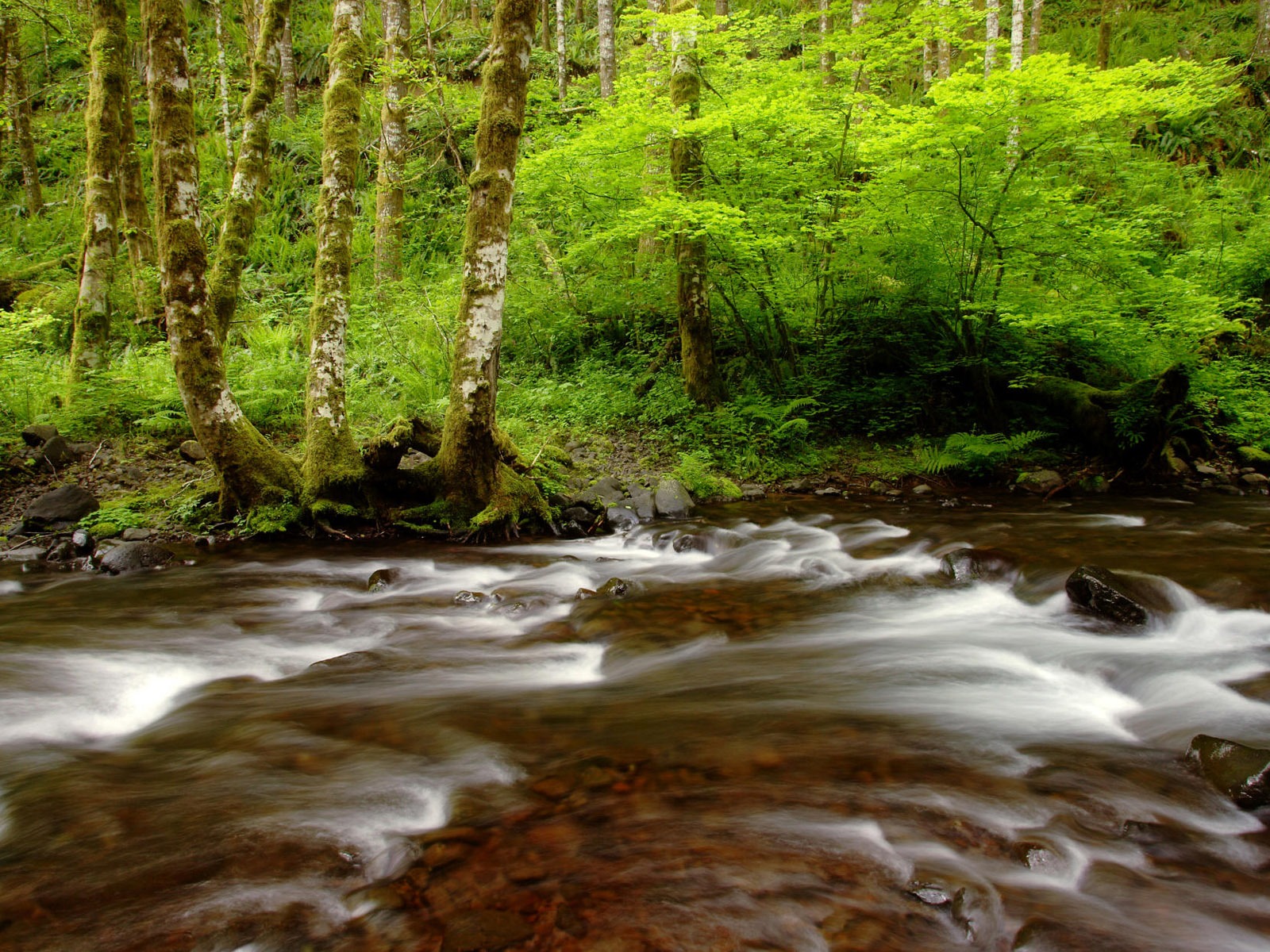 Water streams HD Wallpapers #8 - 1600x1200