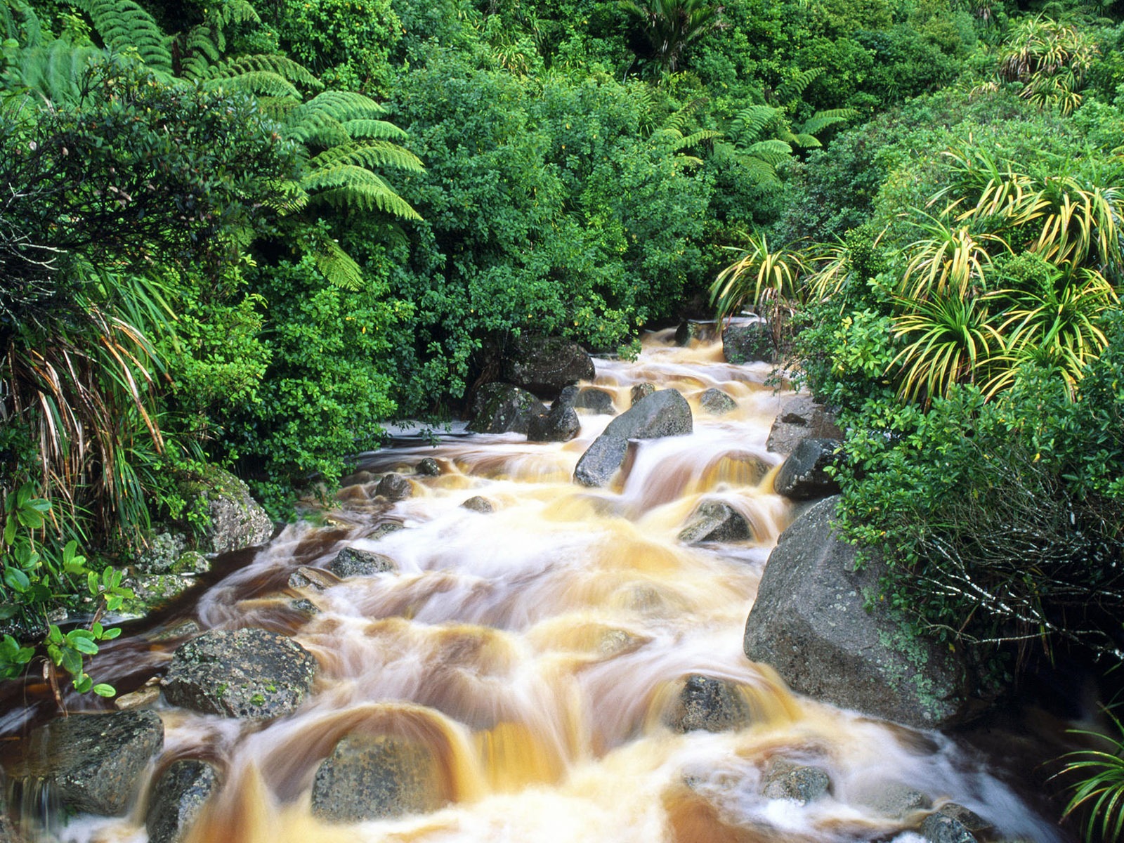 Water streams HD Wallpapers #9 - 1600x1200