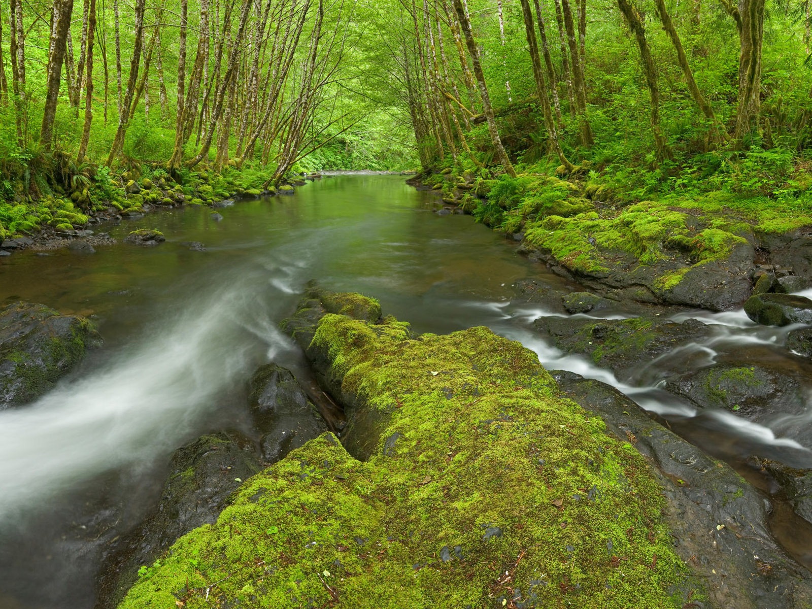 Water streams HD Wallpapers #11 - 1600x1200