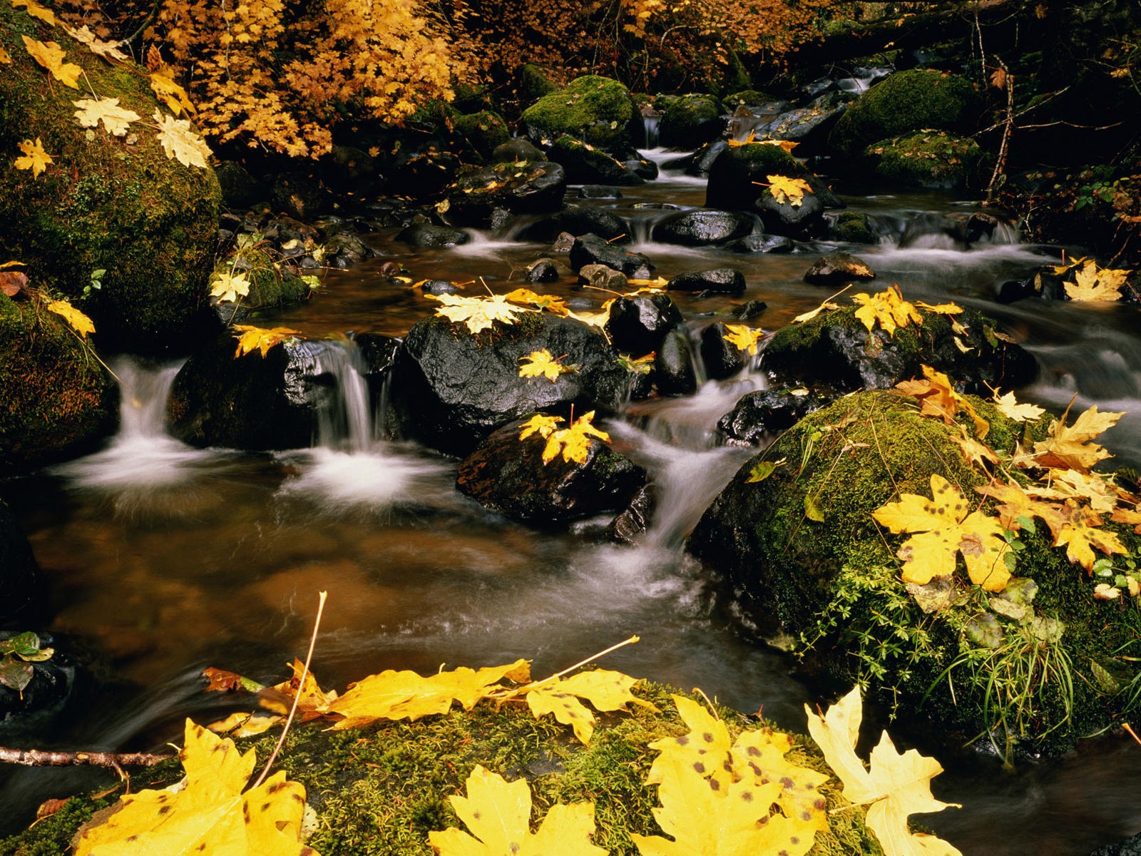 Water streams HD Wallpapers #17 - 1600x1200