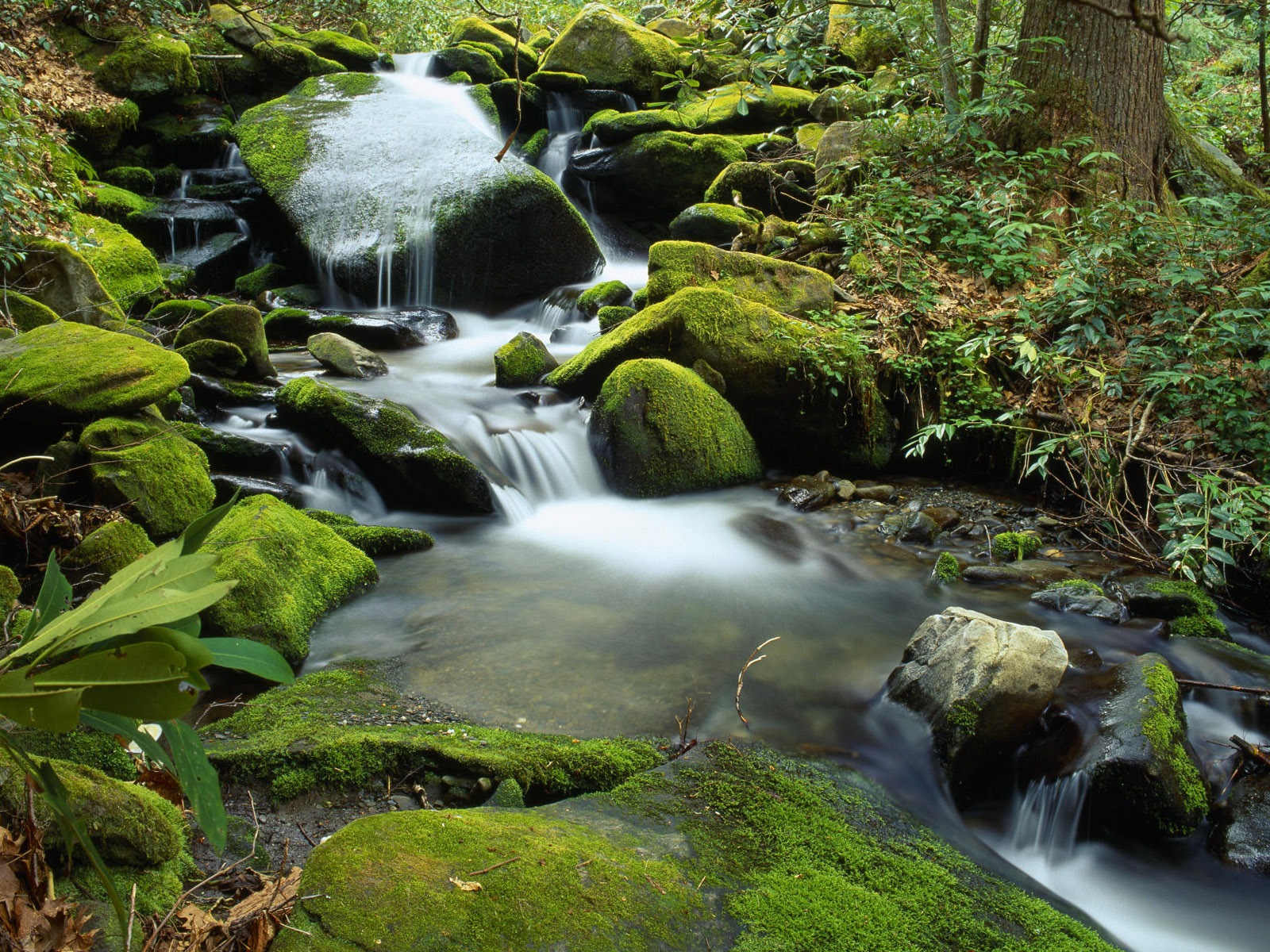 Water streams HD Wallpapers #20 - 1600x1200