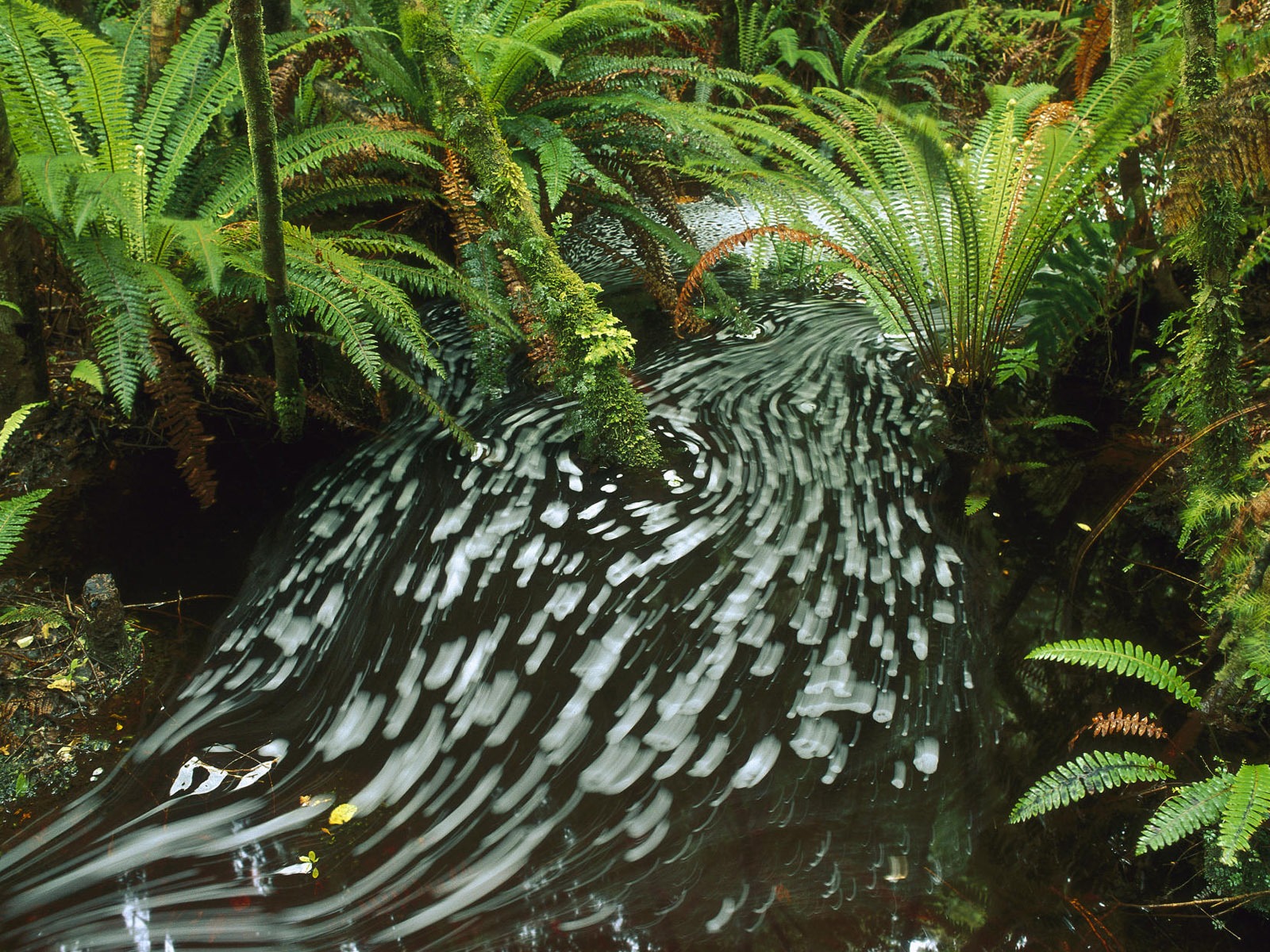 Water streams HD Wallpapers #25 - 1600x1200
