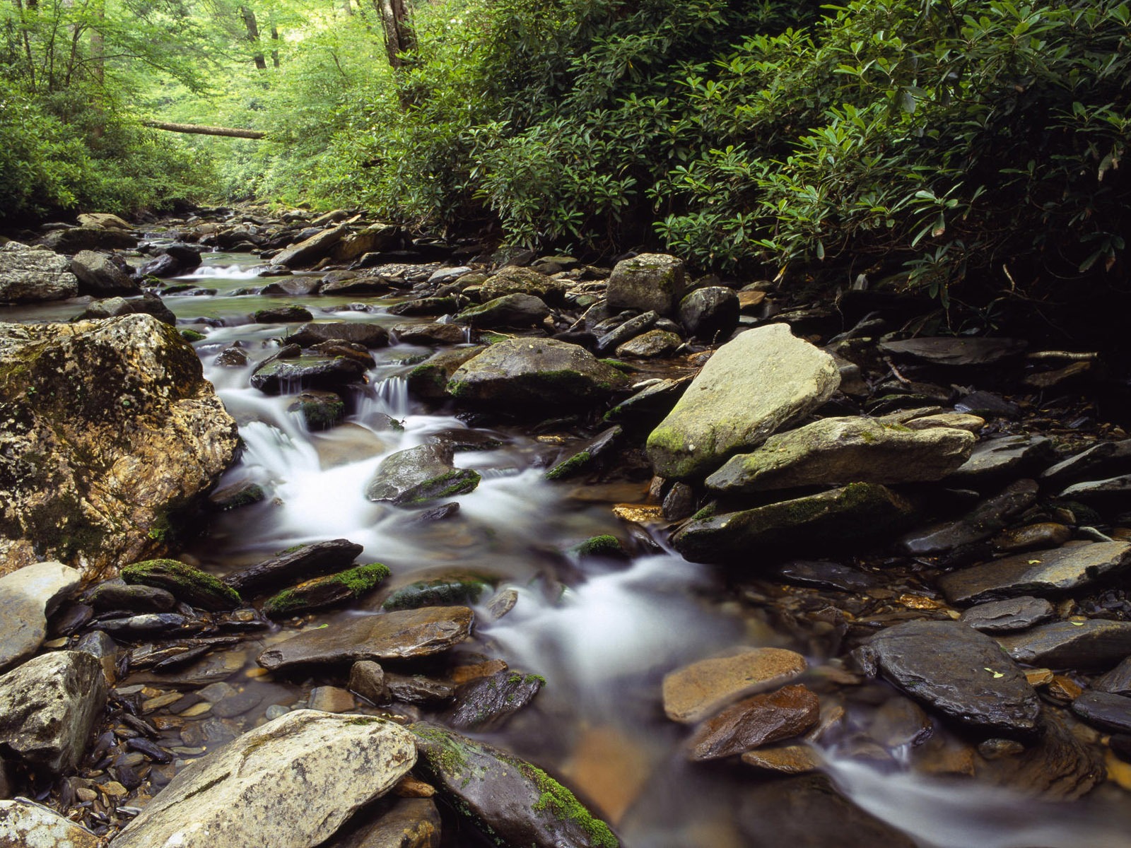 Water streams HD Wallpapers #27 - 1600x1200