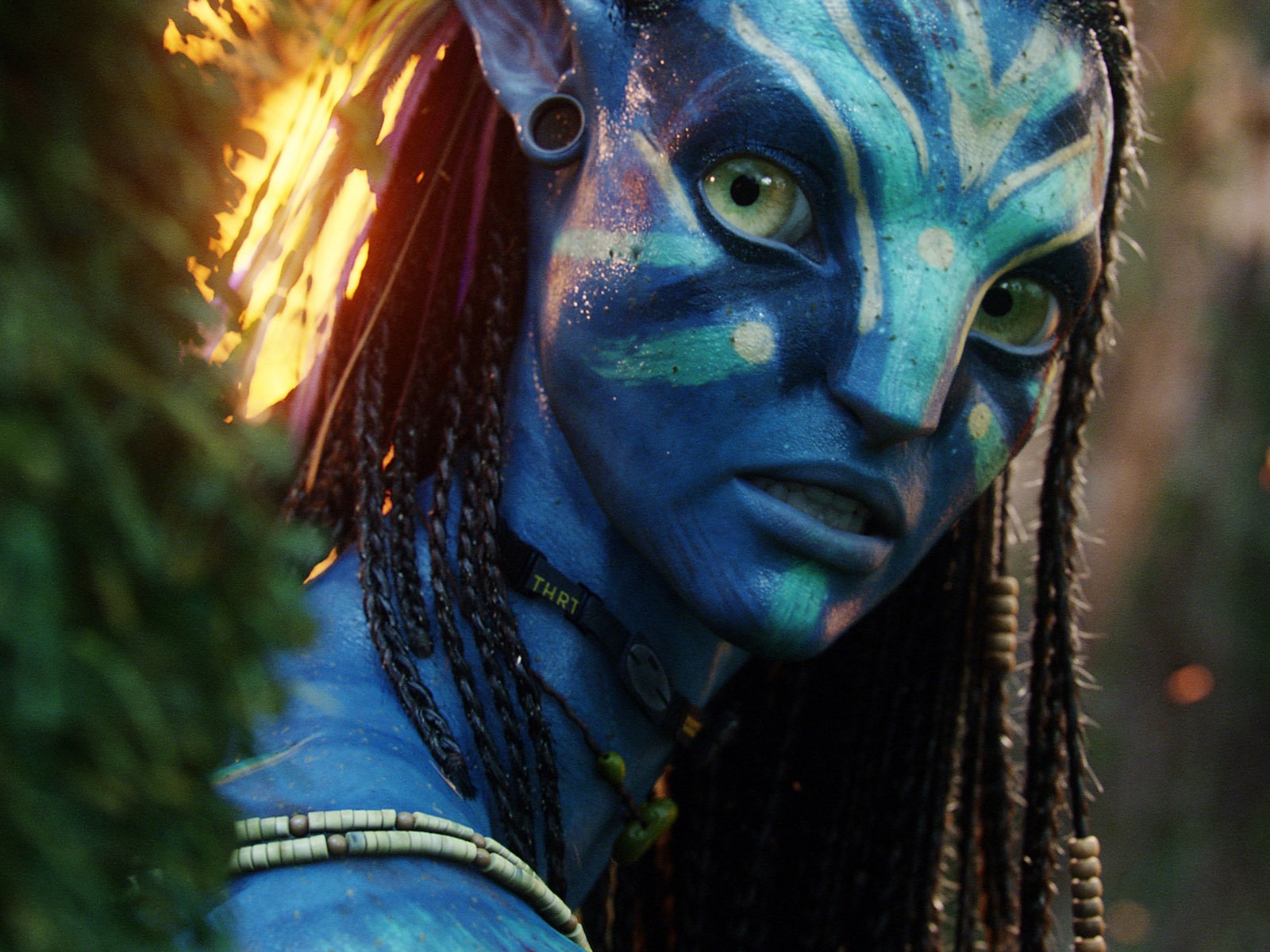 Avatar HD tapetu (1) #1 - 1600x1200