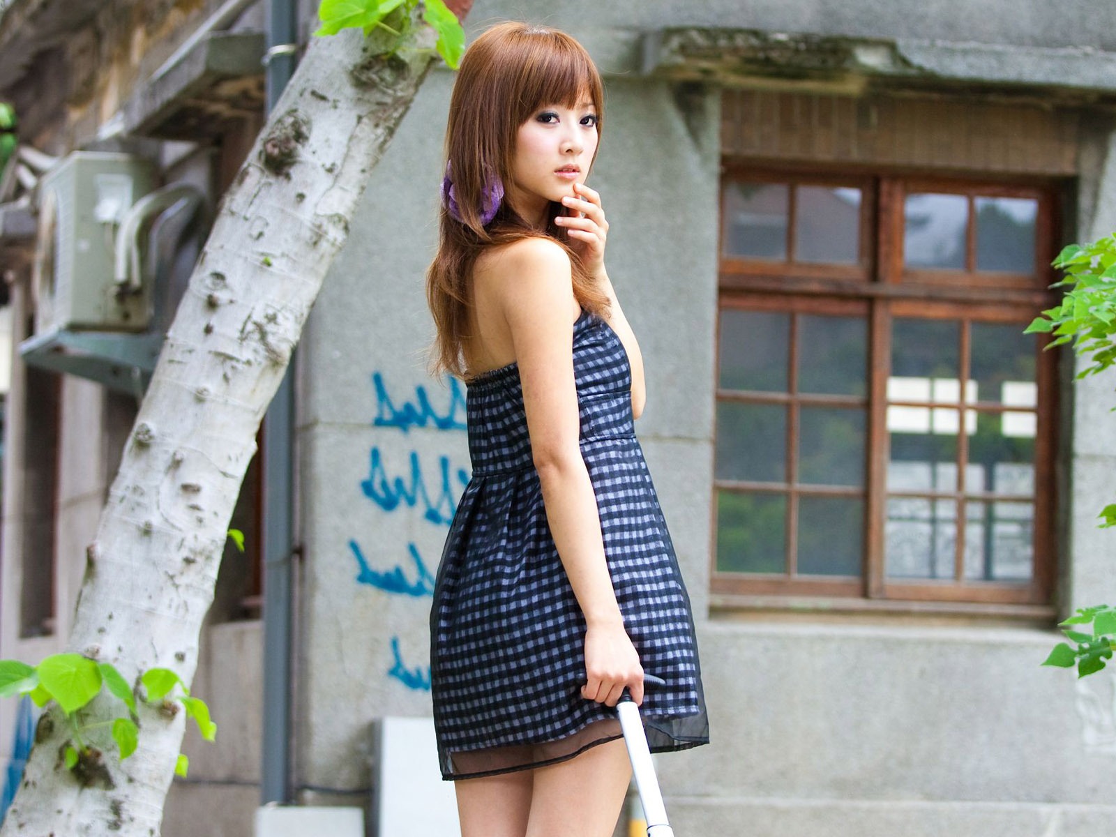 Tchaj-wan MM ovoce wallpaper album (6) #8 - 1600x1200