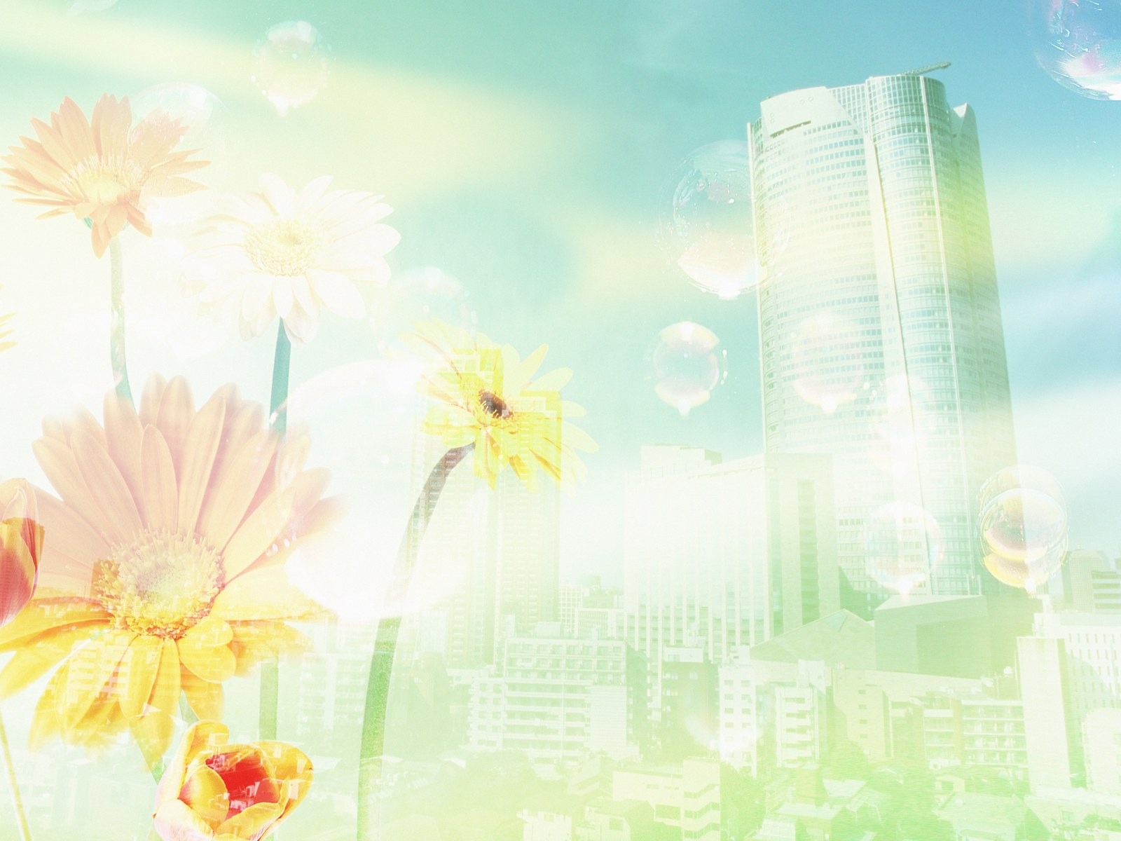 綠色環境主題PS壁紙 #3 - 1600x1200