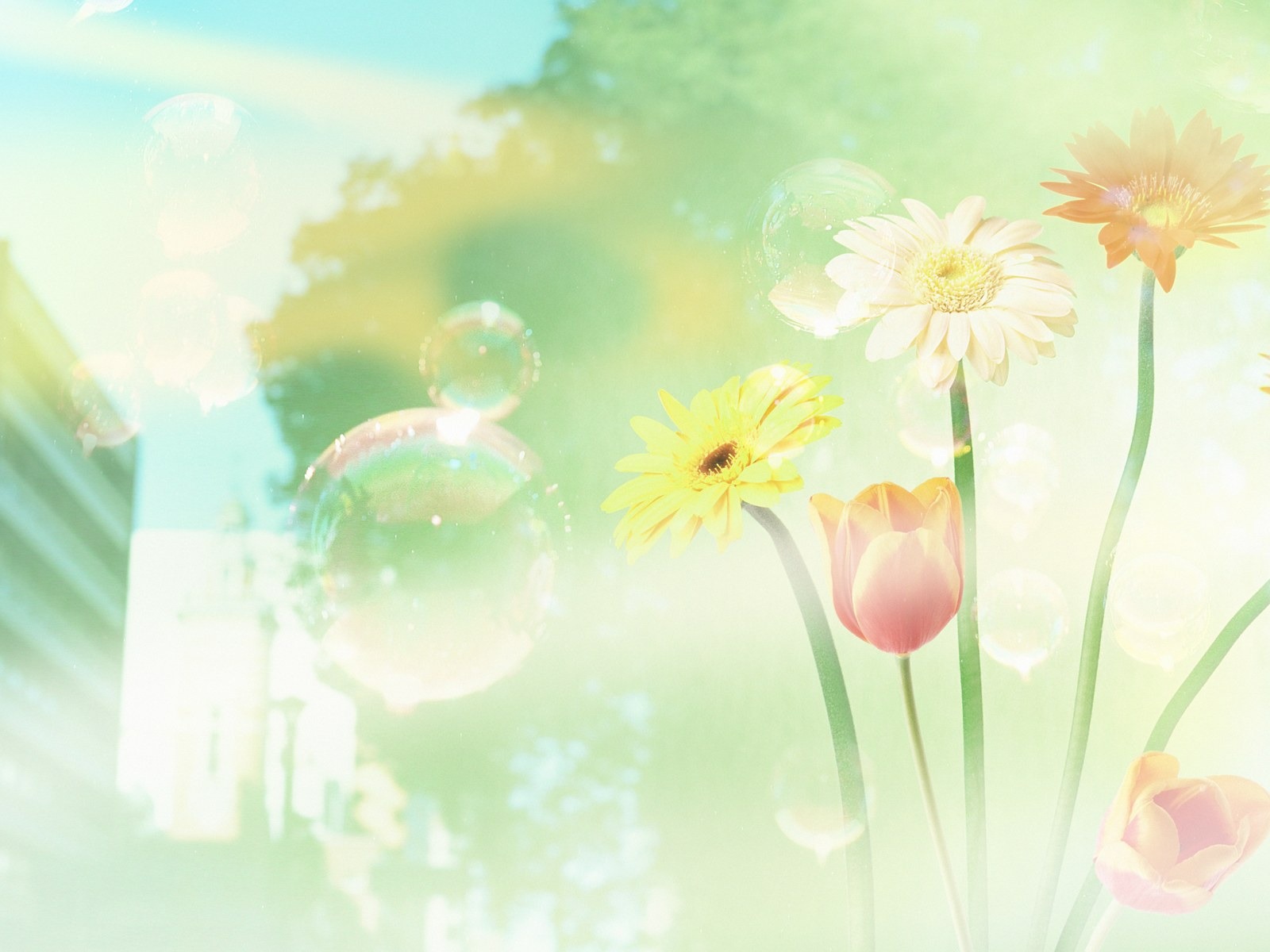 綠色環境主題PS壁紙 #4 - 1600x1200