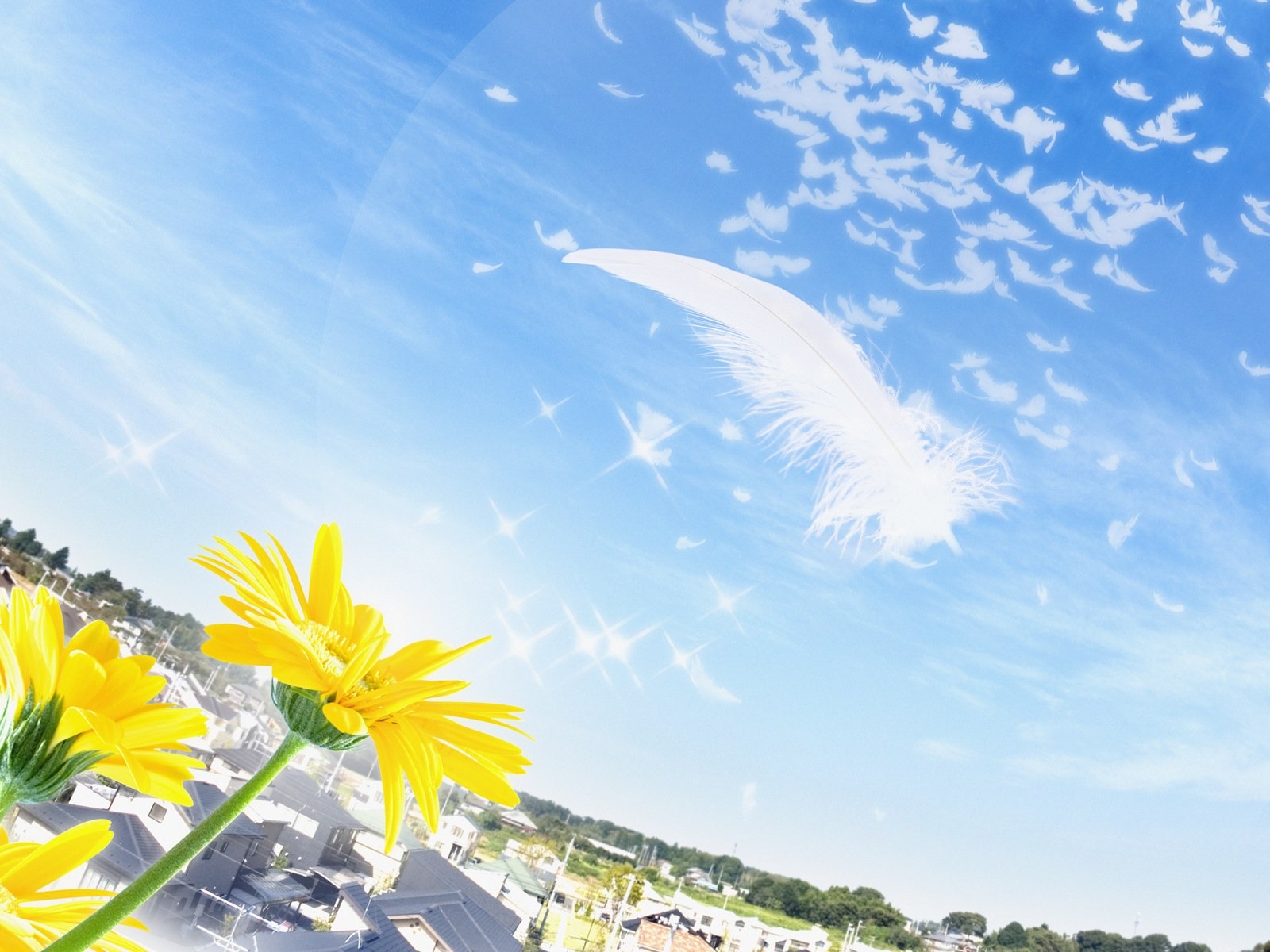 綠色環境主題PS壁紙 #5 - 1600x1200