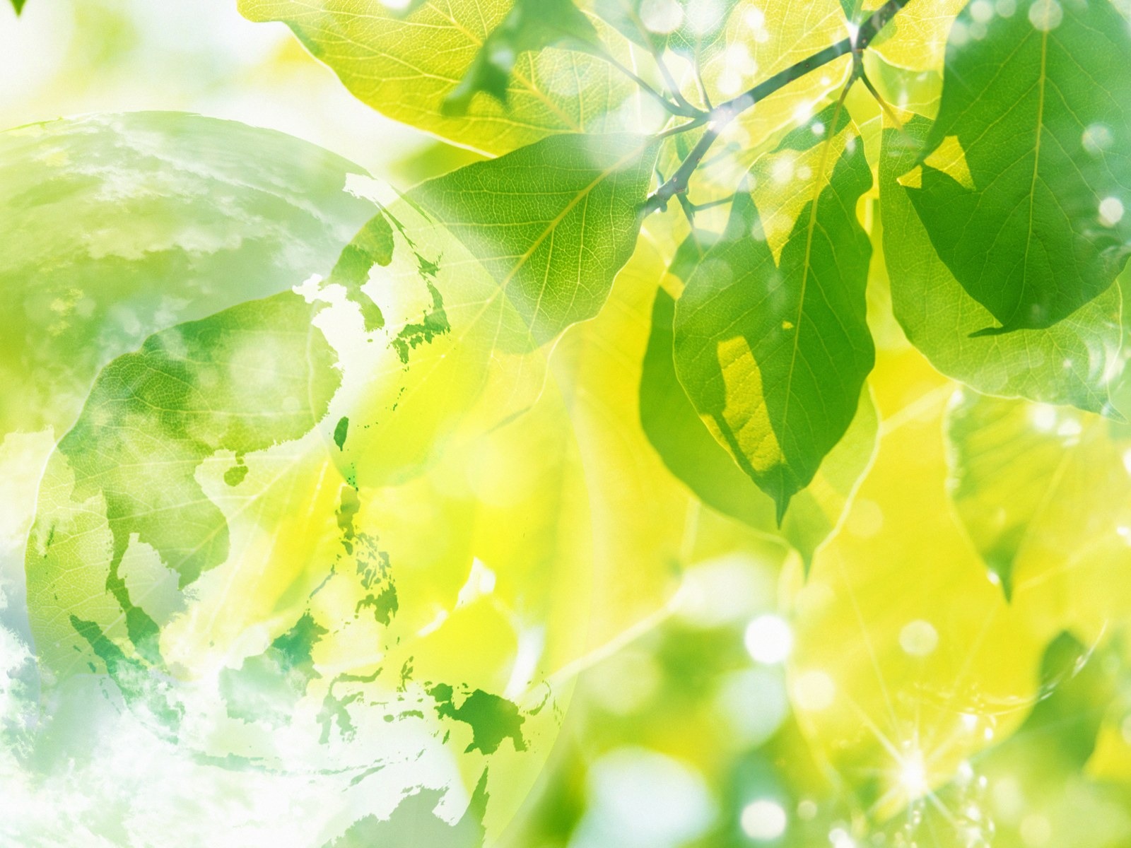 zelená témata životního prostředí PS Wallpaper #15 - 1600x1200