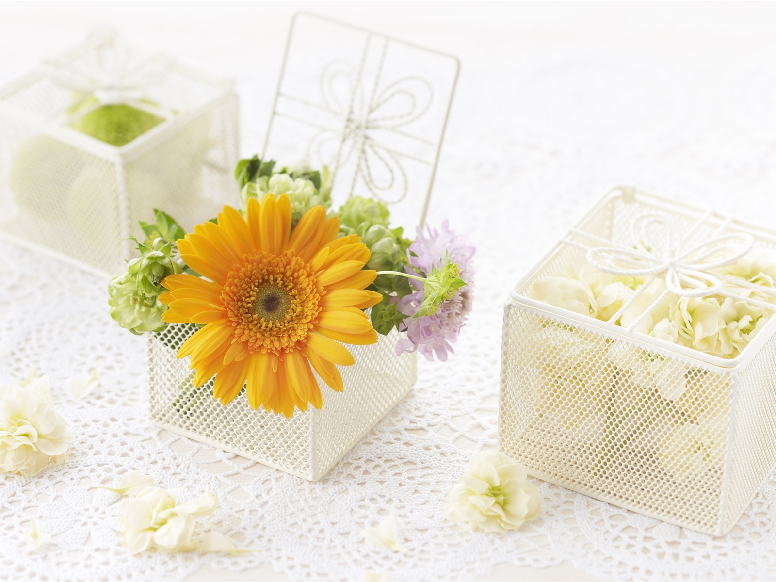 花卉禮品高清壁紙(一) #3 - 1600x1200