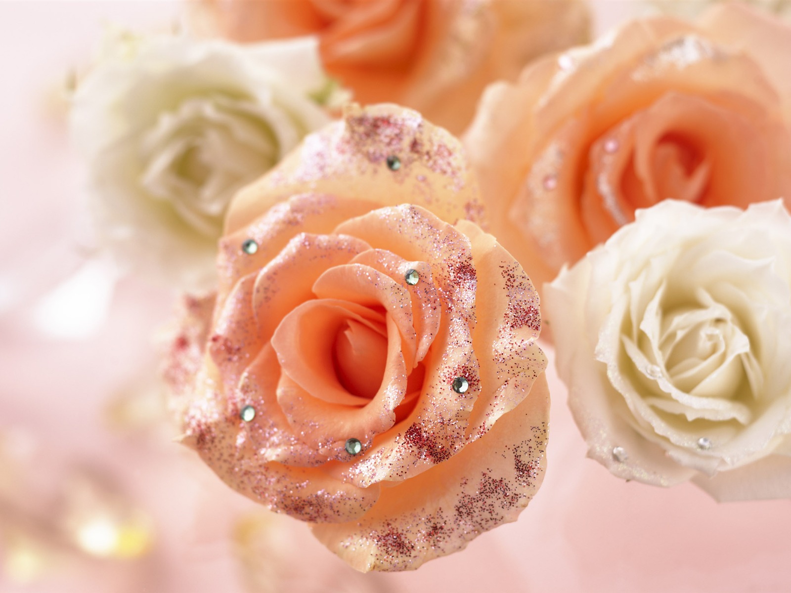 Flowers Gifts HD Wallpapers (1) #14 - 1600x1200