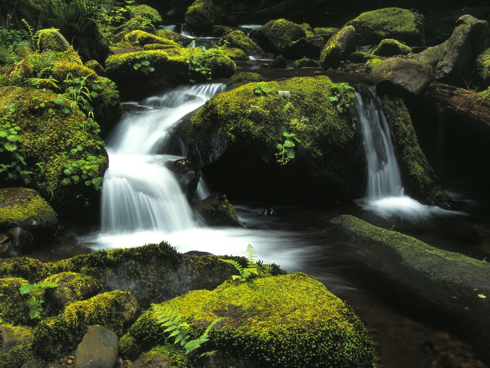 Webshots風光壁紙(六) #30 - 1600x1200