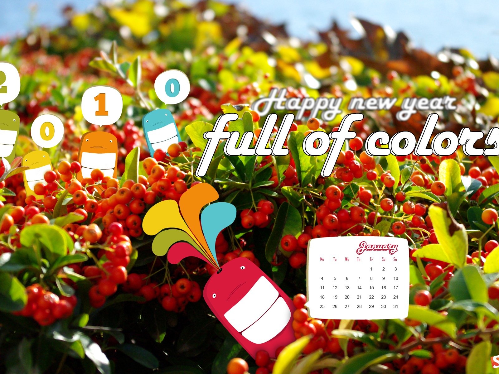 2010年1月月曆壁紙 #5 - 1600x1200
