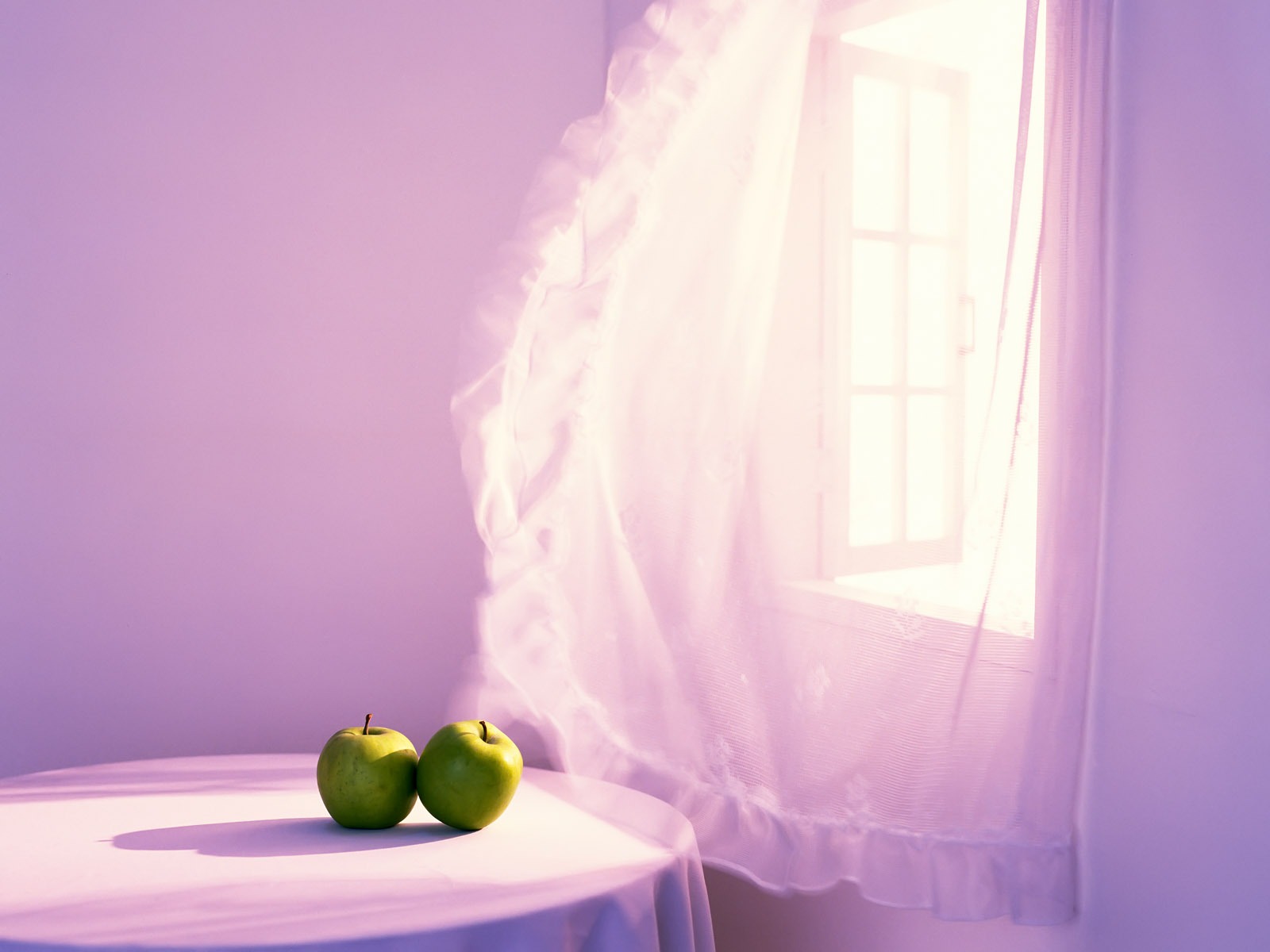 Indoor Still Life Wallpaper Album (2) #9 - 1600x1200