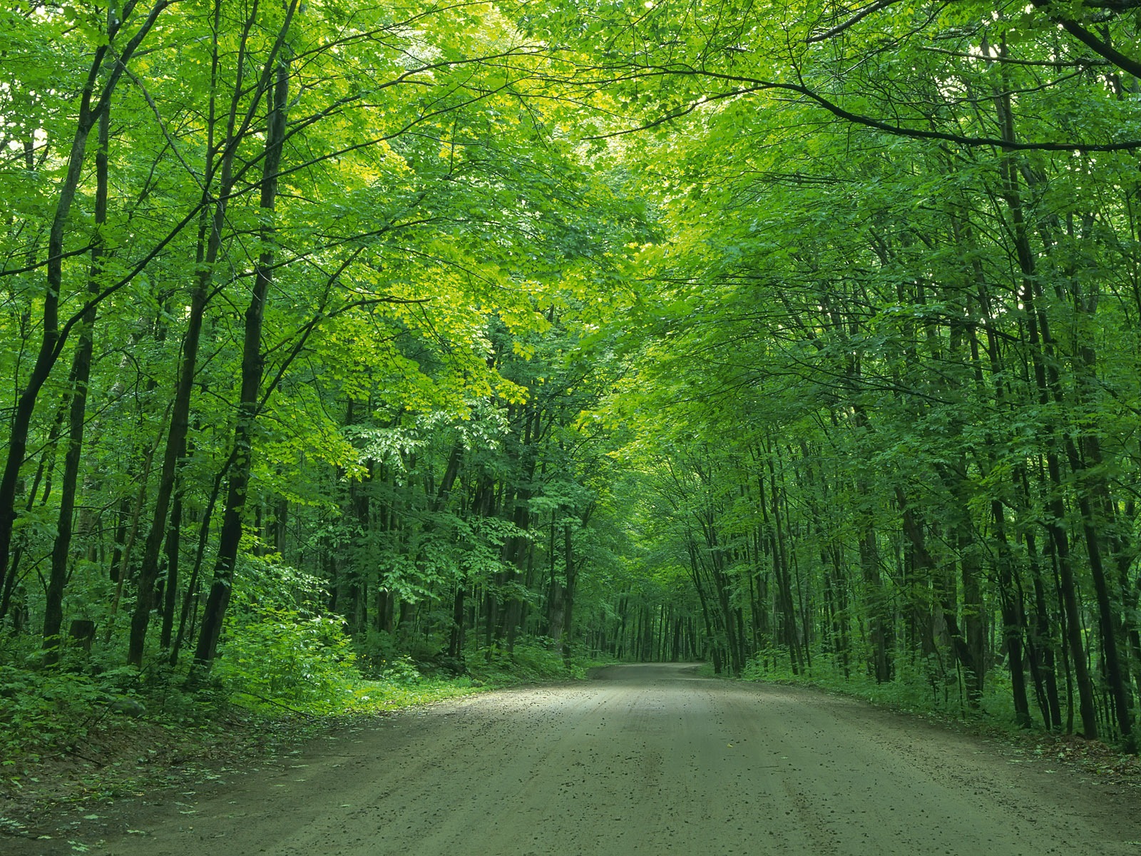 道路写真壁纸26 - 1600x1200