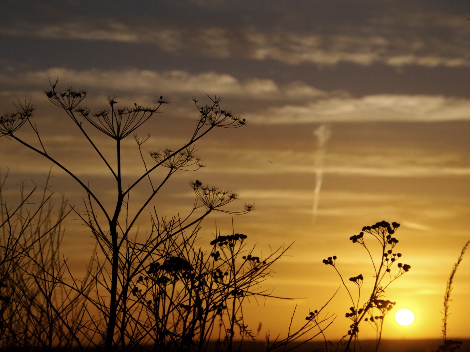 Glow du coucher du soleil HD Wallpaper exquise (1) #30 - 1600x1200