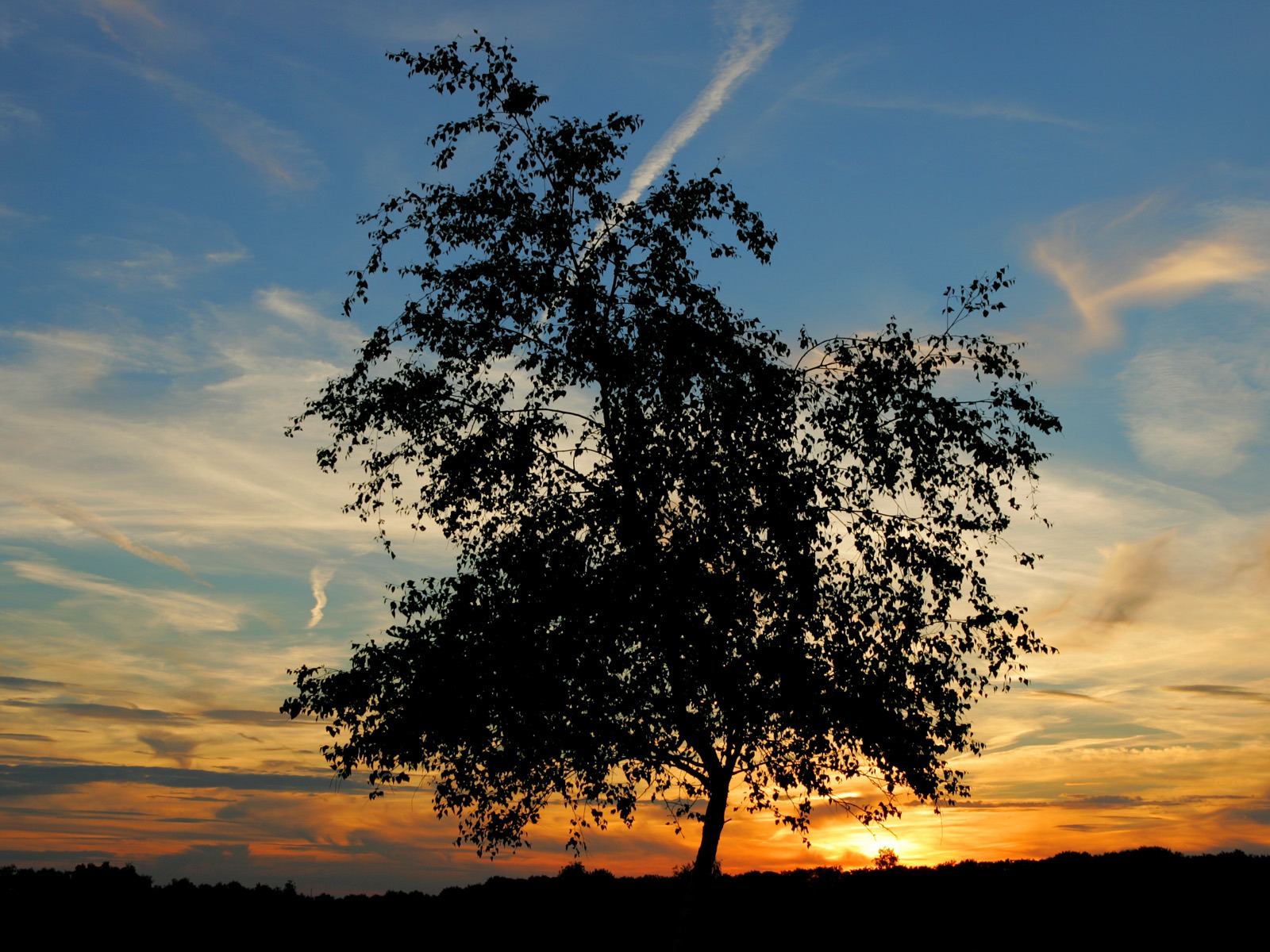 Glow du coucher du soleil HD Wallpaper exquise (1) #38 - 1600x1200