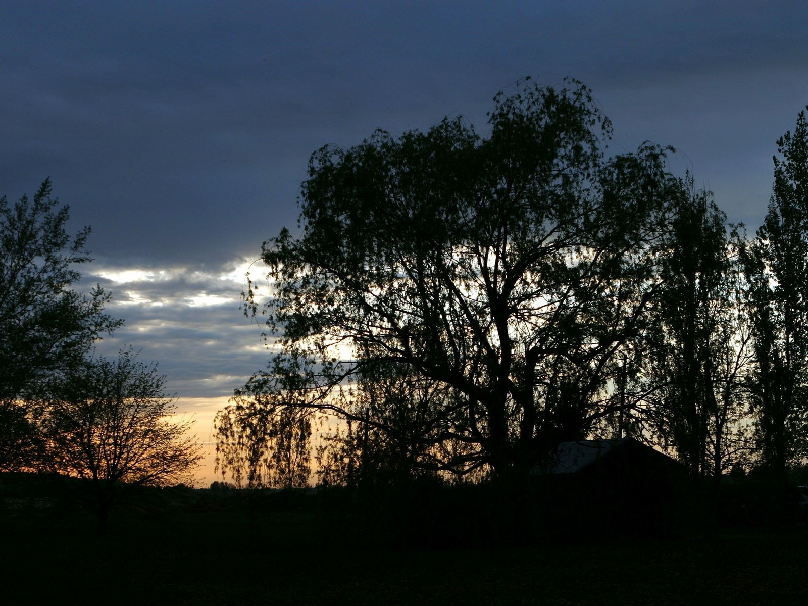 záře slunce HD skvělé tapety (2) #38 - 1600x1200