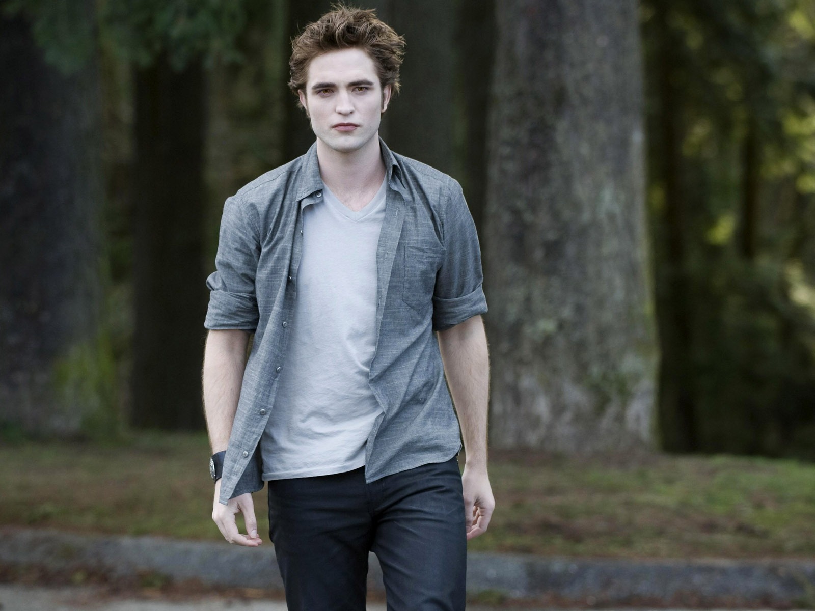 The Twilight Saga: New Moon wallpaper album (2) #7 - 1600x1200