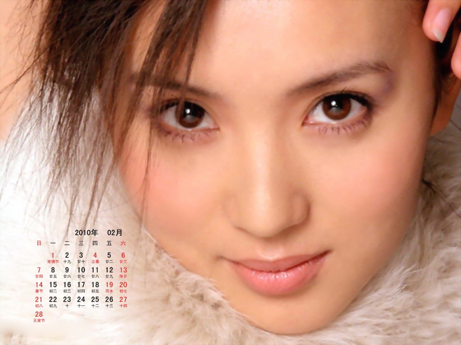 2010年2月明星日曆壁紙 #5 - 1600x1200