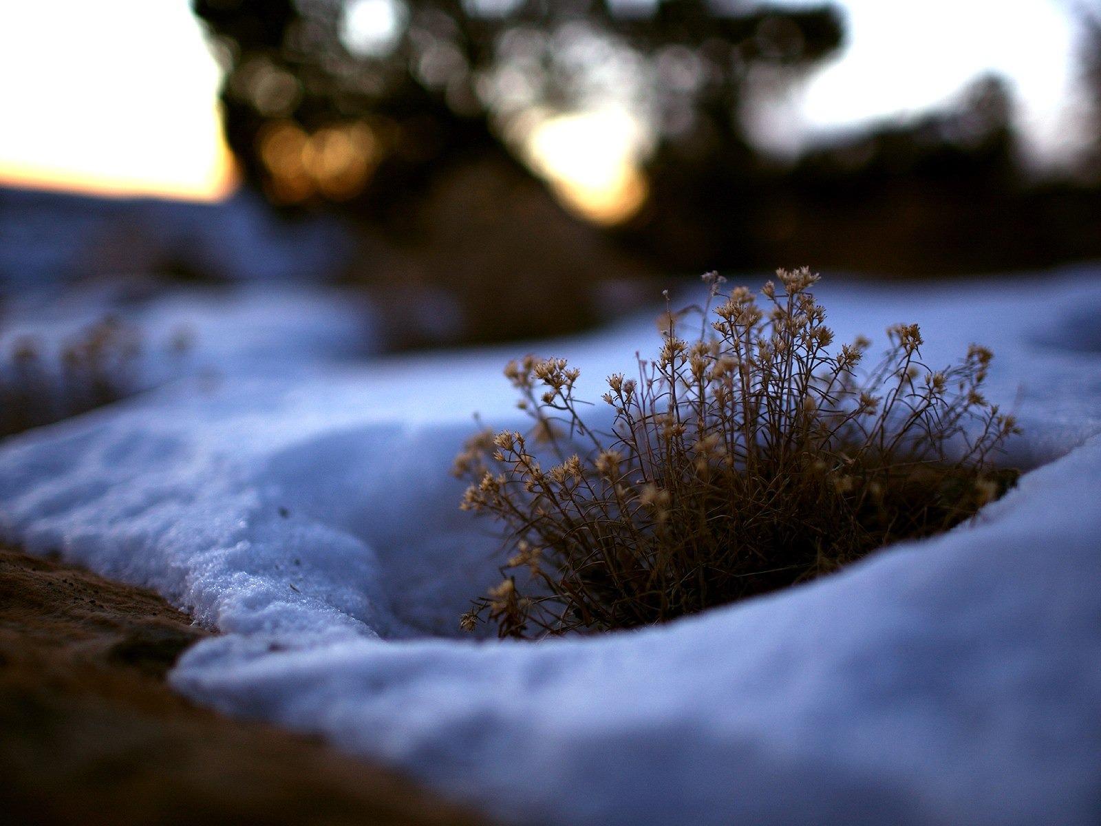 自然隨拍風景壁紙 #30 - 1600x1200