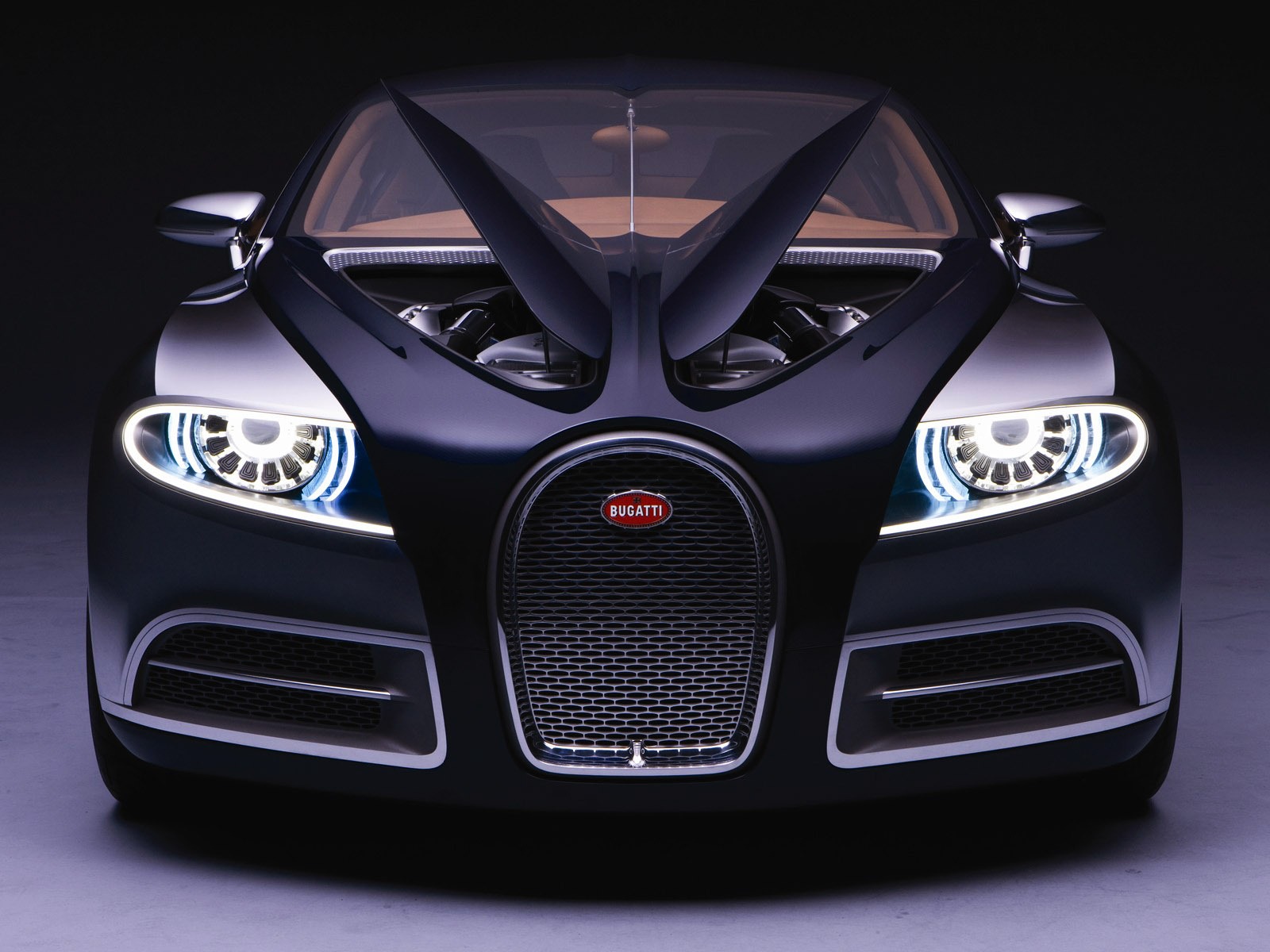 Bugatti Veyron 布加迪威龙 壁纸专辑(二)1 - 1600x1200
