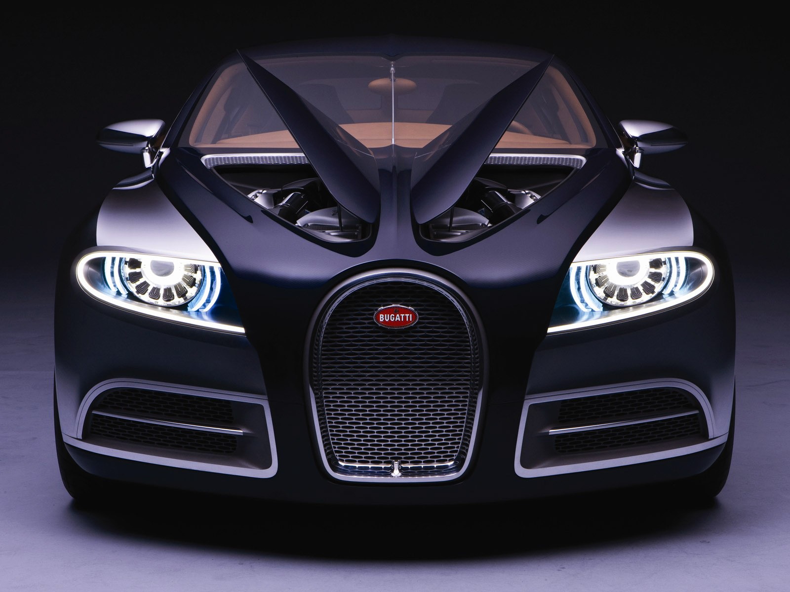 Bugatti Veyron 布加迪威龍壁紙專輯(二) #1 - 1600x1200