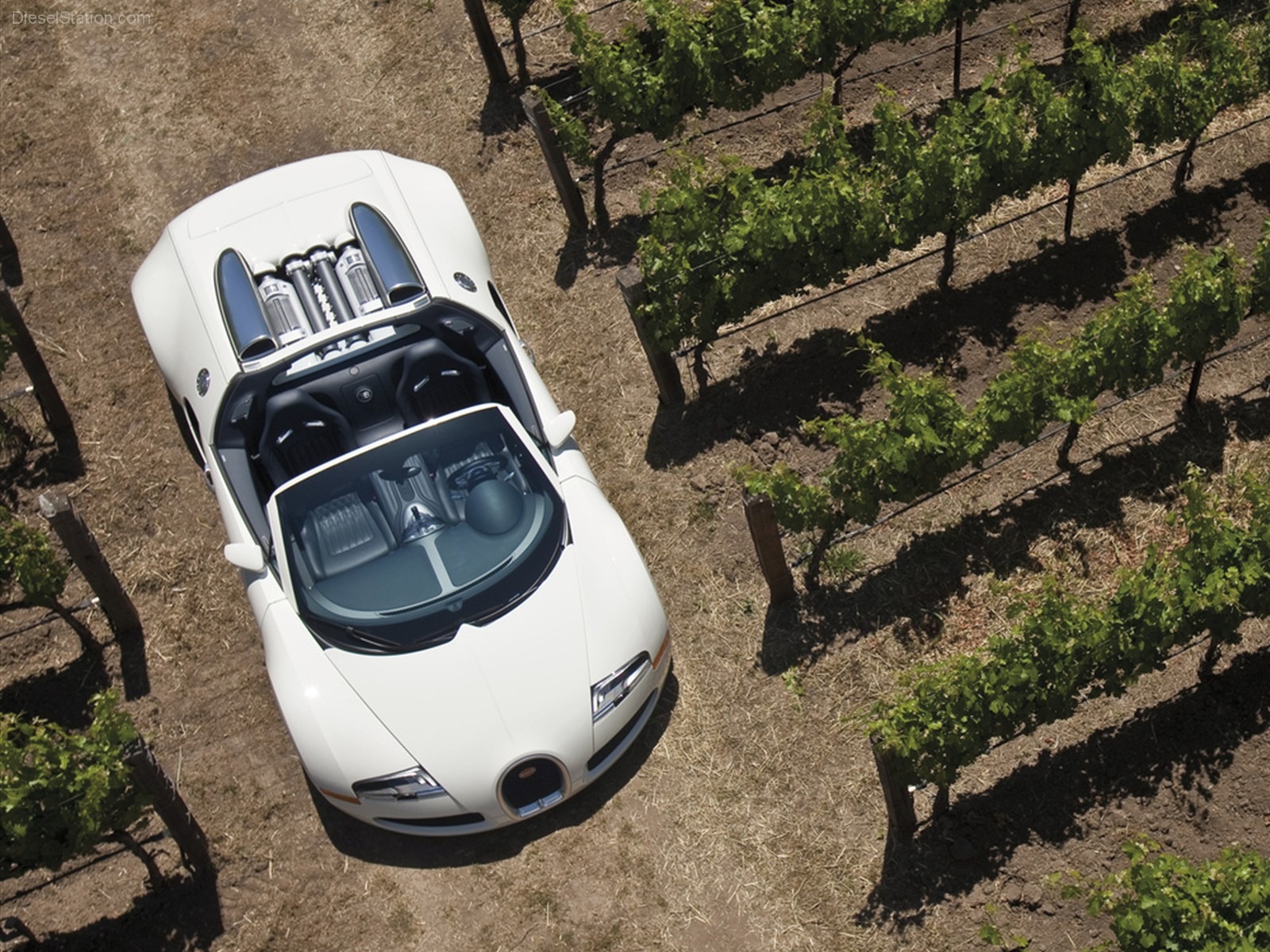 Bugatti Veyron Wallpaper Album (3) #4 - 1600x1200