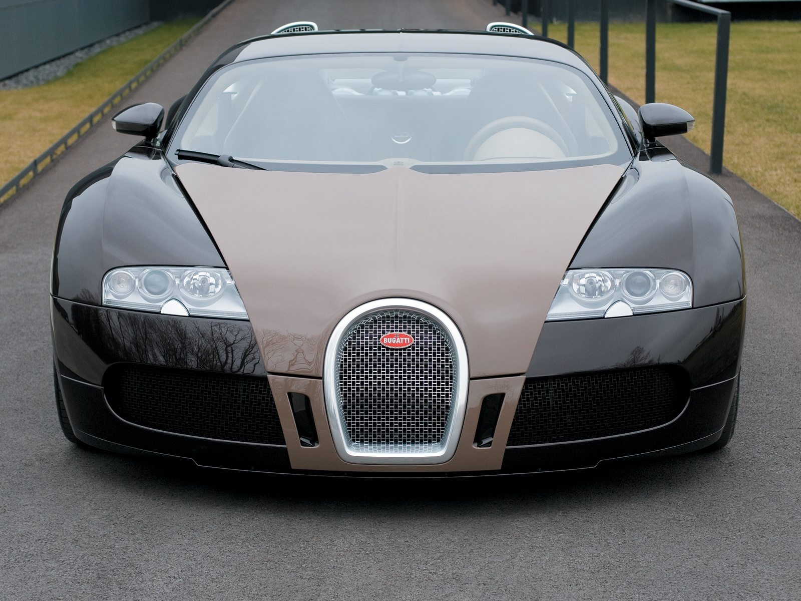 Bugatti Veyron Wallpaper Album (3) #8 - 1600x1200