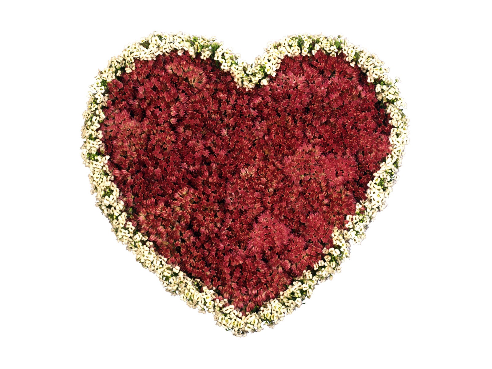 Love heart wallpaper album (4) #10 - 1600x1200