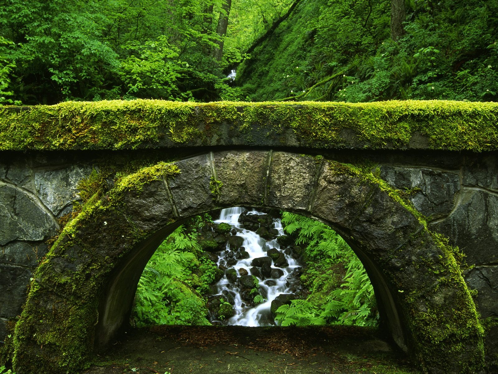 Webshots風光壁紙(11) #19 - 1600x1200