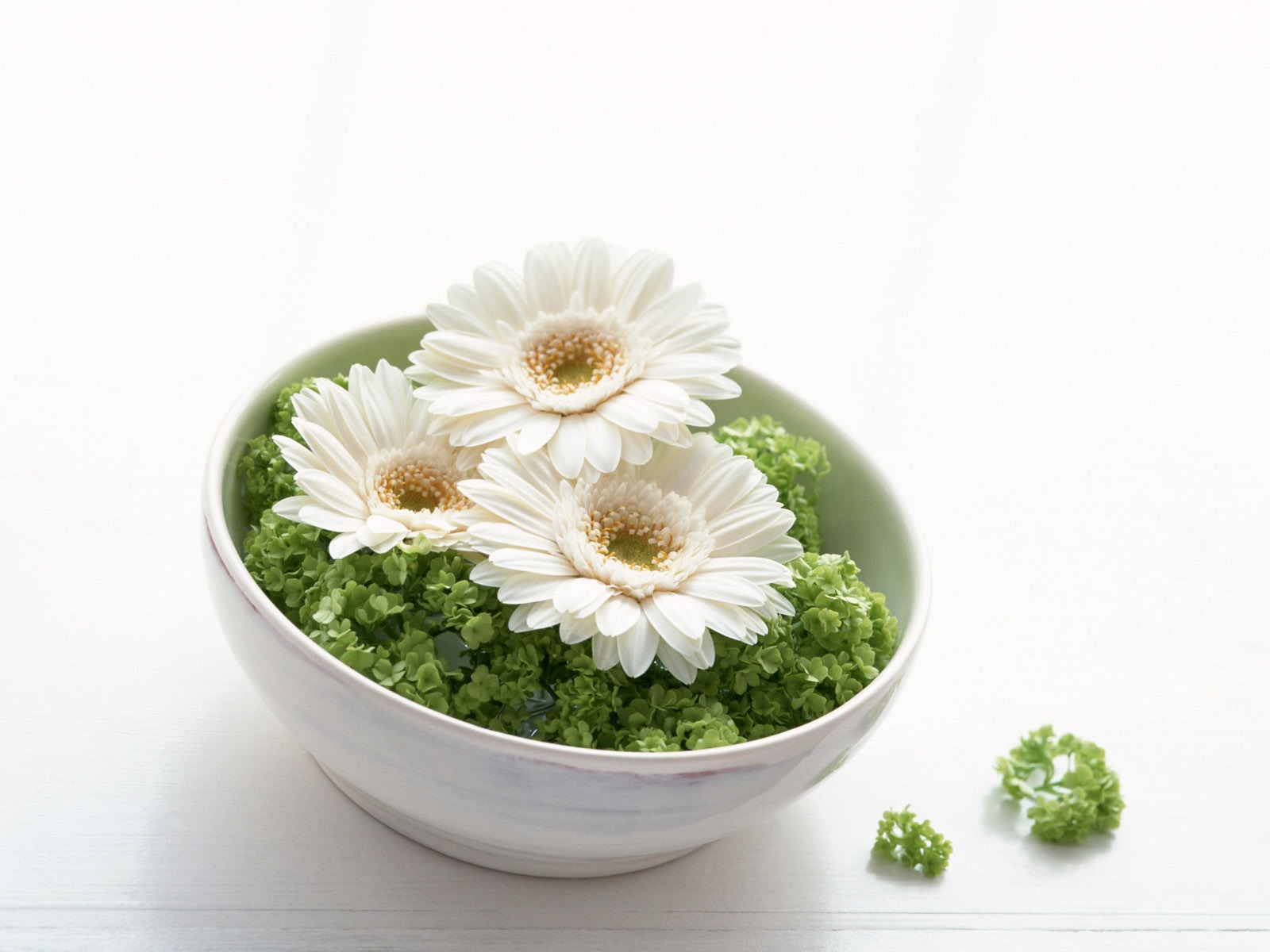 Room Flower photo wallpapers #10 - 1600x1200
