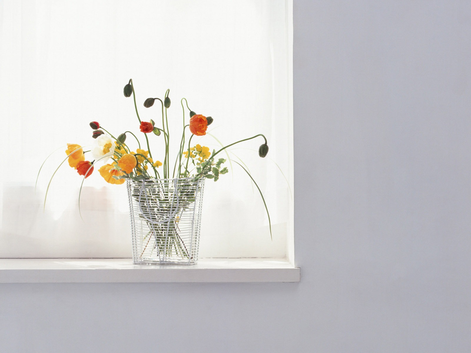 객실 꽃 사진 월페이퍼 #25 - 1600x1200