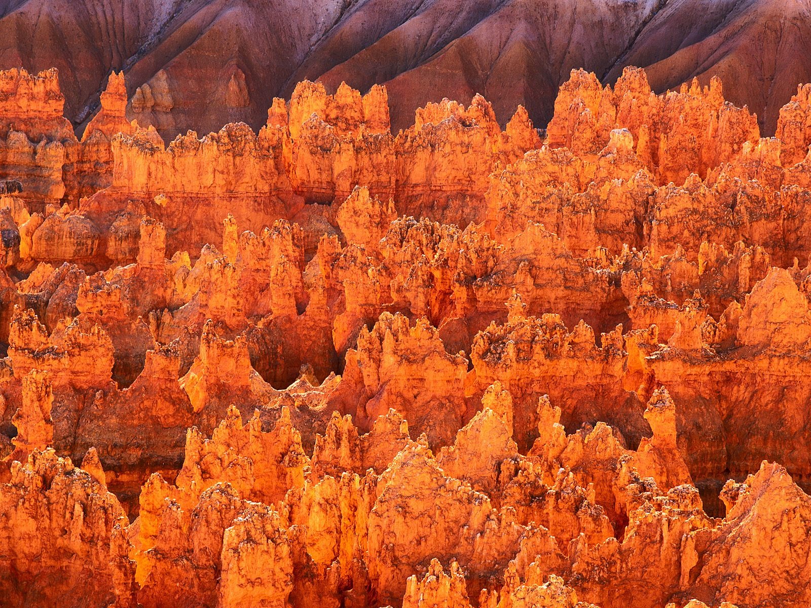 神奇自然美景 #6 - 1600x1200