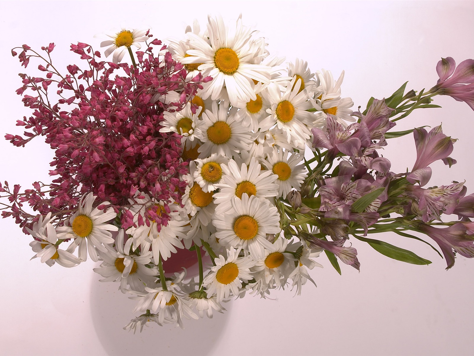 대형 꽃 기능 월페이퍼 (3) #15 - 1600x1200