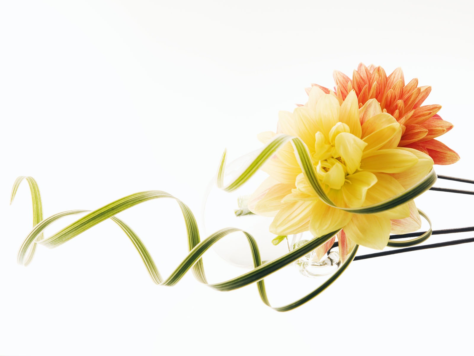 婚禮鮮花 壁紙(三) #5 - 1600x1200