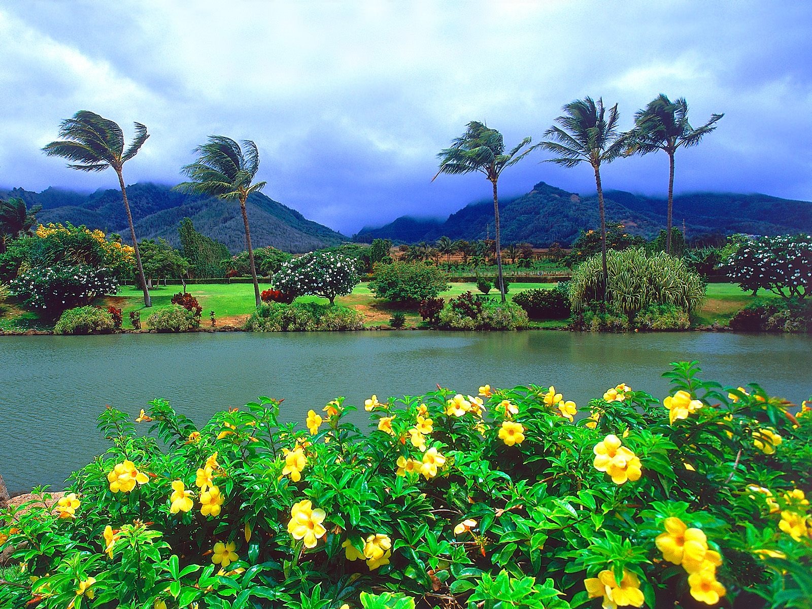 Hermoso paisaje de Hawai Wallpaper #10 - 1600x1200